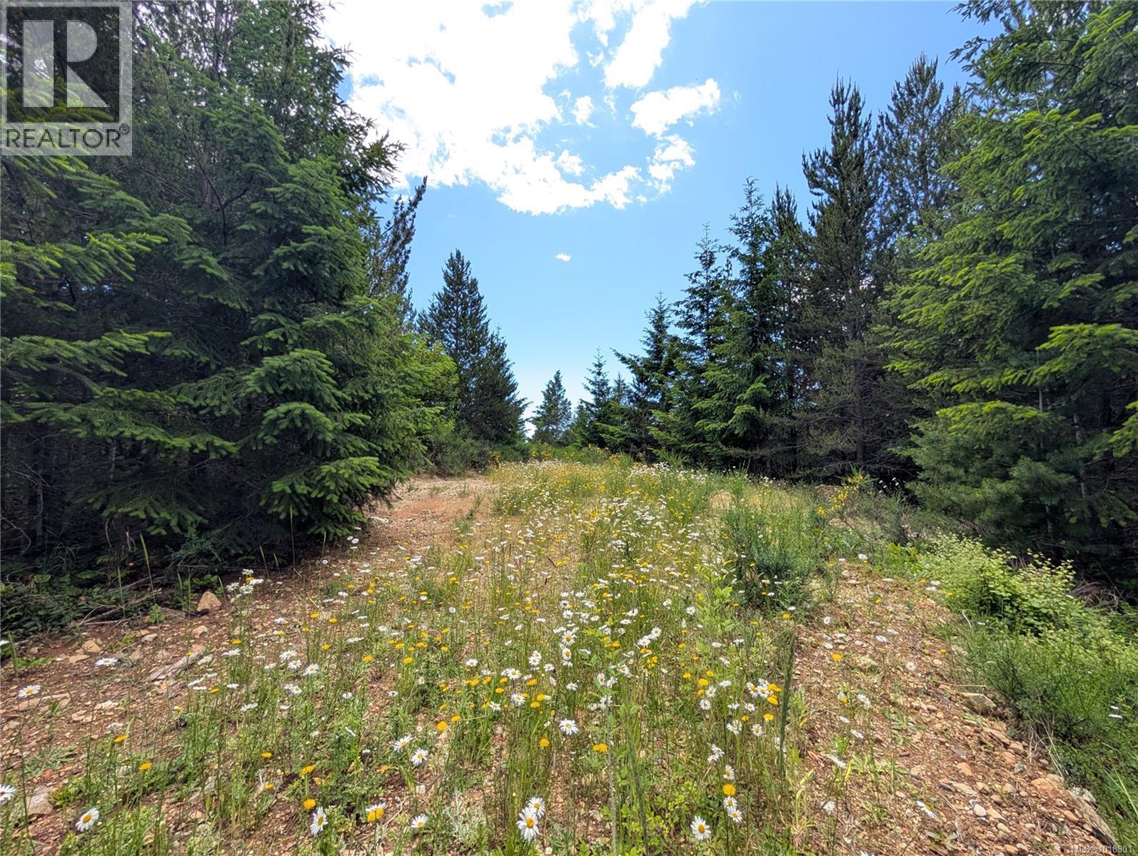 Lot 30 Eagle Dr, Shawnigan Lake, British Columbia  V8H 2J1 - Photo 16 - 1018901