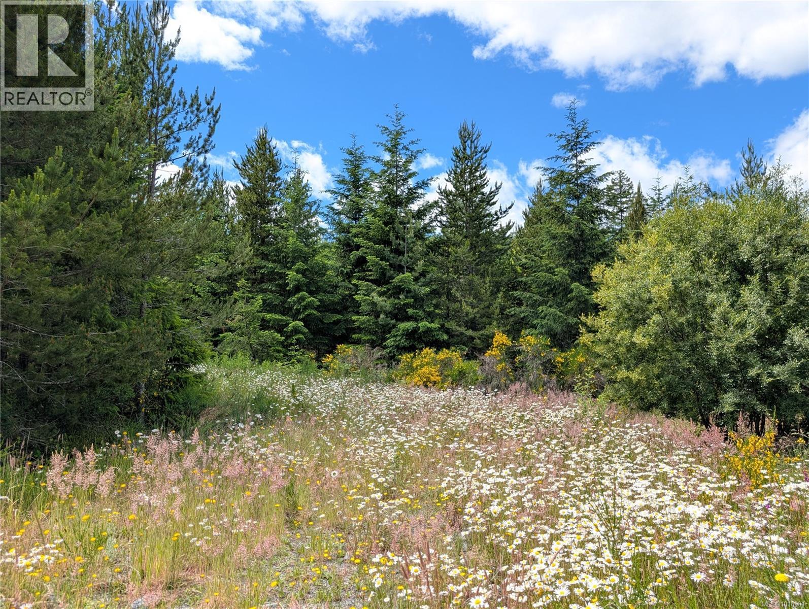 Lot 30 Eagle Dr, Shawnigan Lake, British Columbia  V8H 2J1 - Photo 9 - 1018901