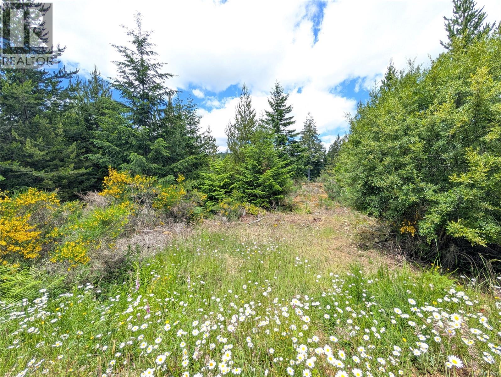Lot 30 Eagle Dr, Shawnigan Lake, British Columbia  V8H 2J1 - Photo 13 - 1018901