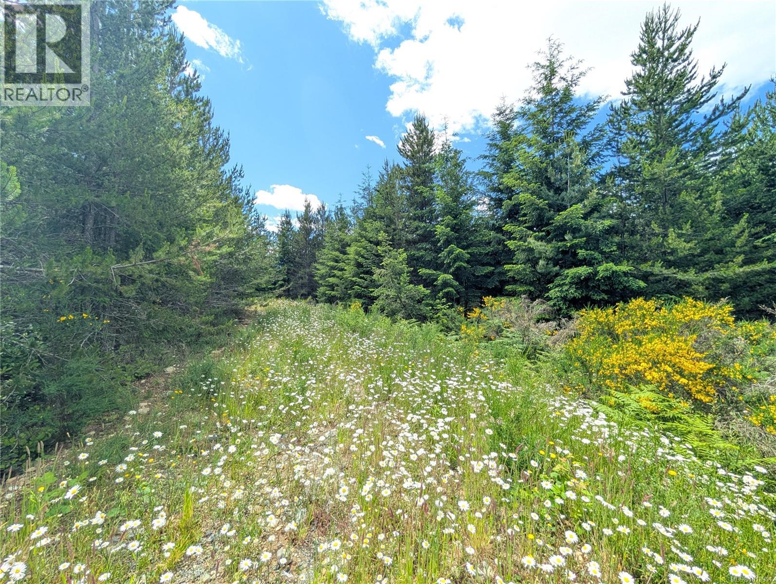 Lot 30 Eagle Dr, Shawnigan Lake, British Columbia  V8H 2J1 - Photo 11 - 1018901