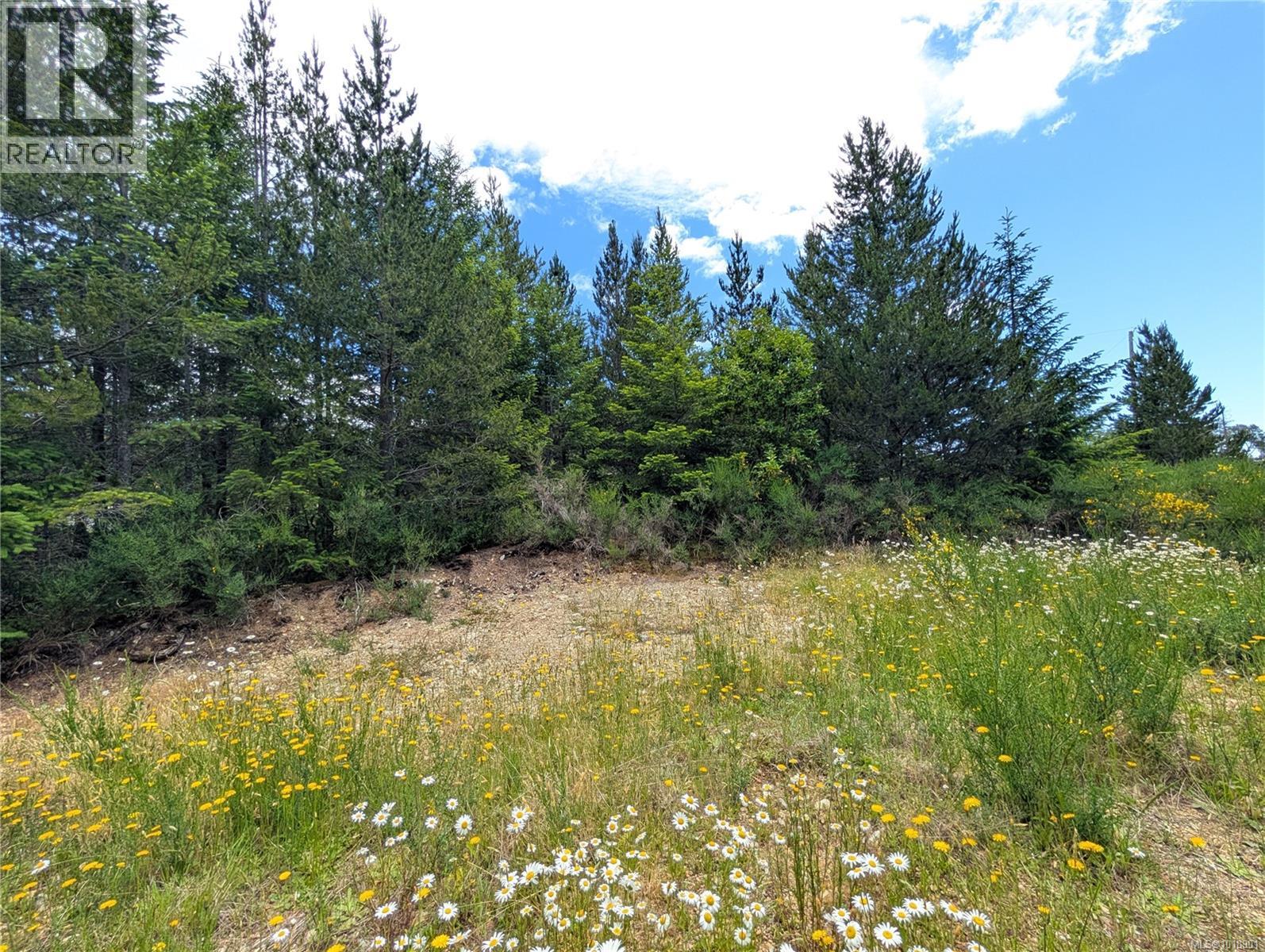 Lot 30 Eagle Dr, Shawnigan Lake, British Columbia  V8H 2J1 - Photo 18 - 1018901