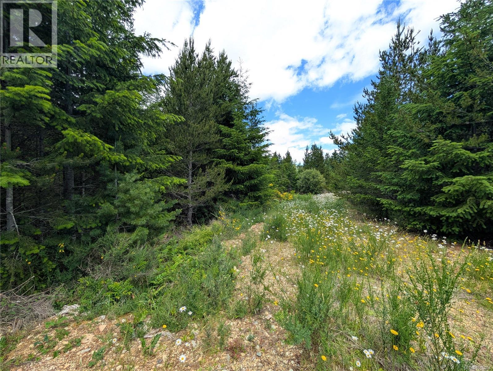Lot 30 Eagle Dr, Shawnigan Lake, British Columbia  V8H 2J1 - Photo 20 - 1018901