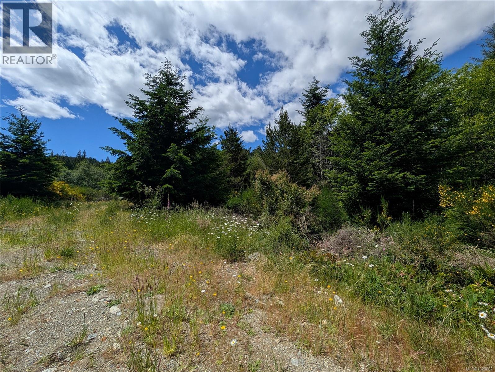 Lot 18 Eagle Dr, Shawnigan Lake, British Columbia  V8H 2J1 - Photo 32 - 1020662
