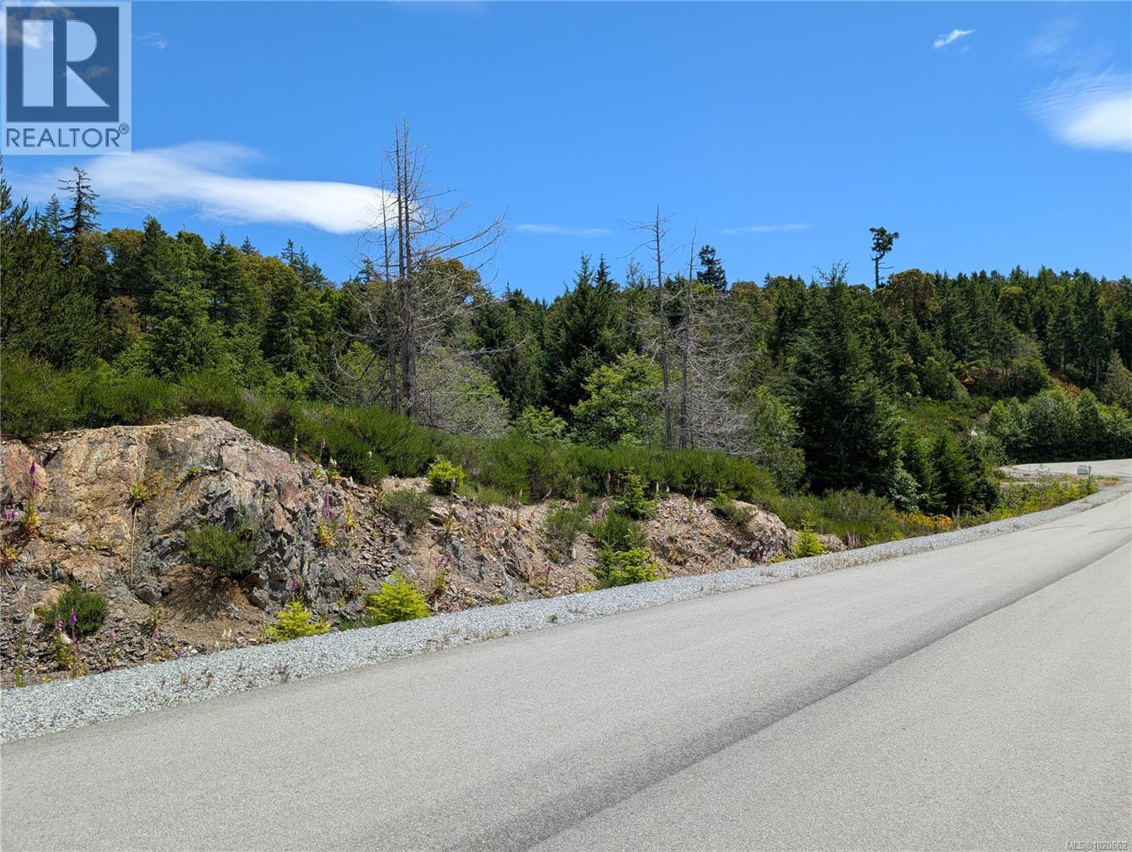 Lot 18 Eagle Dr, Shawnigan Lake, British Columbia  V8H 2J1 - Photo 20 - 1020662