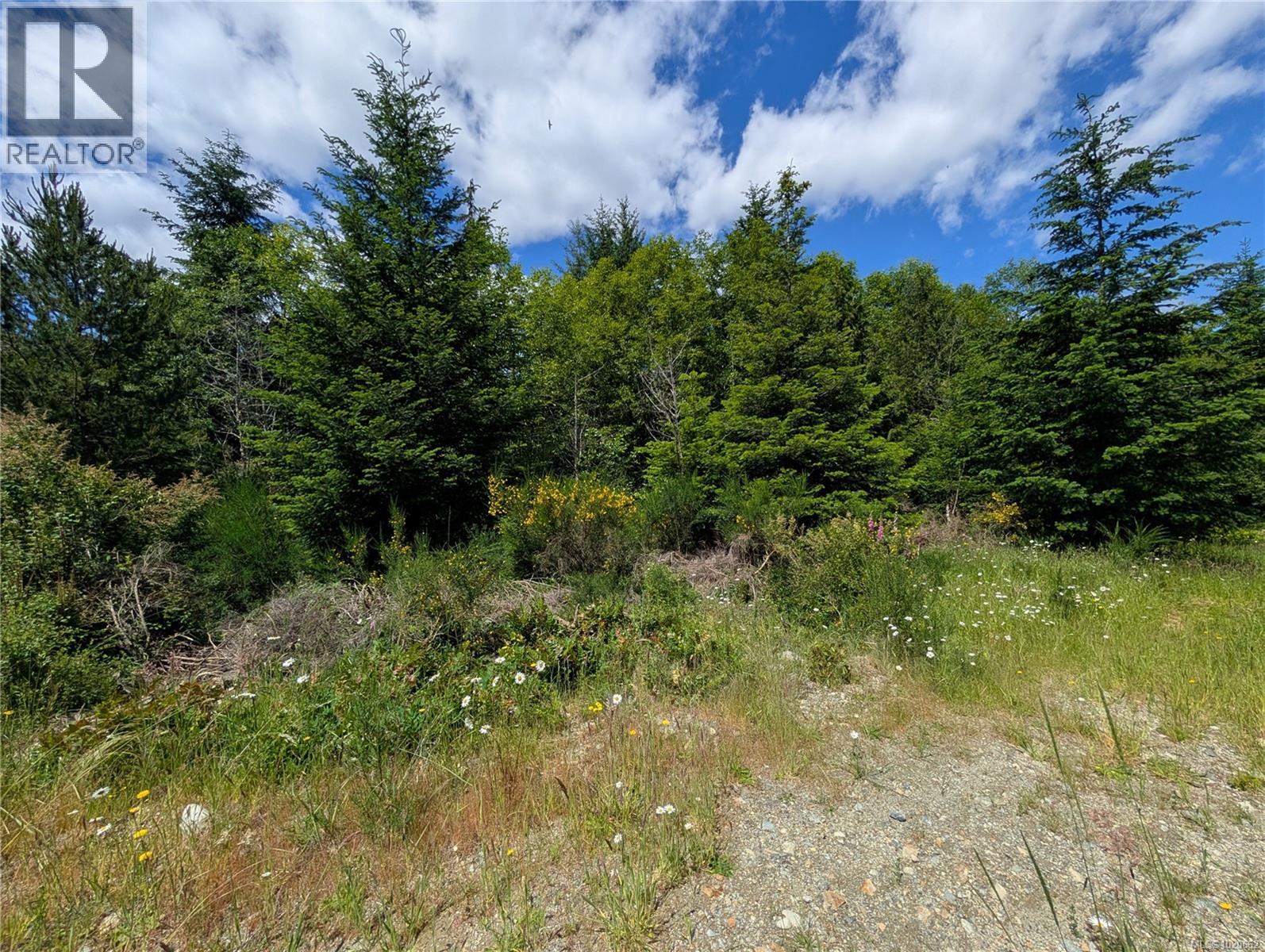Lot 18 Eagle Dr, Shawnigan Lake, British Columbia  V8H 2J1 - Photo 31 - 1020662