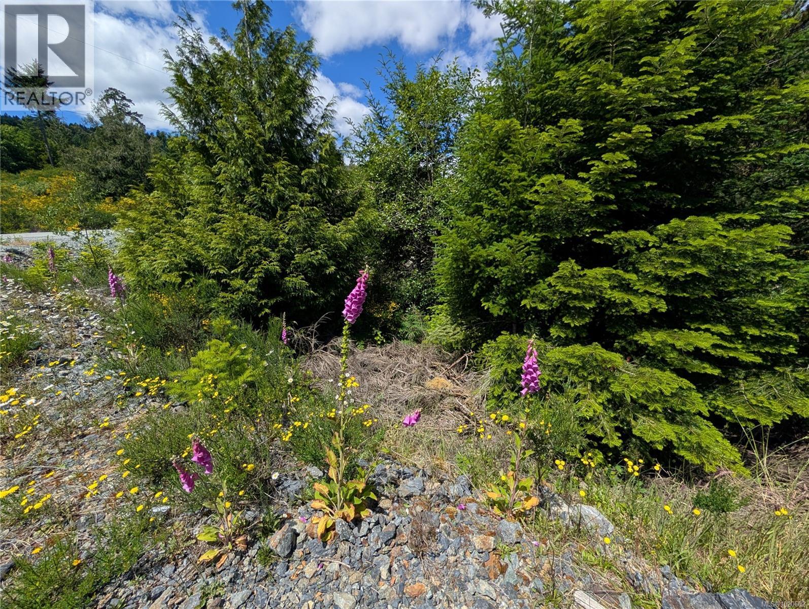 Lot 18 Eagle Dr, Shawnigan Lake, British Columbia  V8H 2J1 - Photo 34 - 1020662