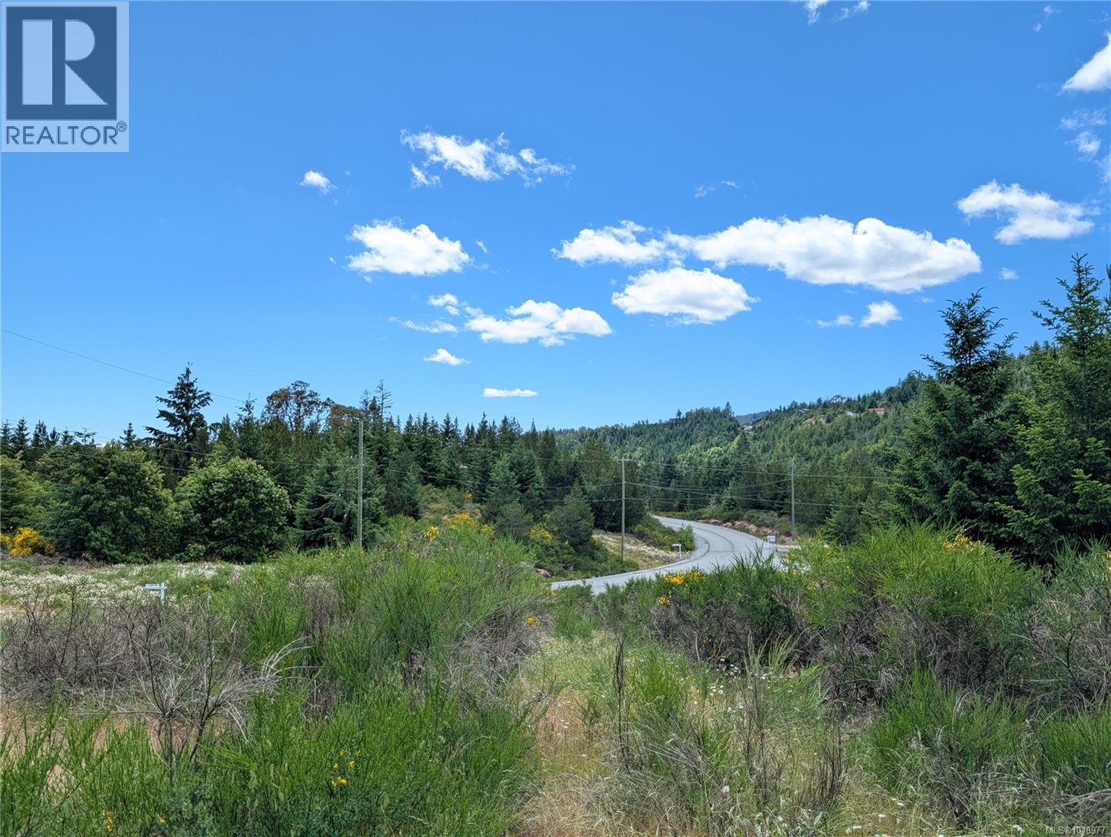Lot 2 Eagle Vista Rd, Shawnigan Lake, British Columbia V8H 2J1 - Photo 18 - 1018977