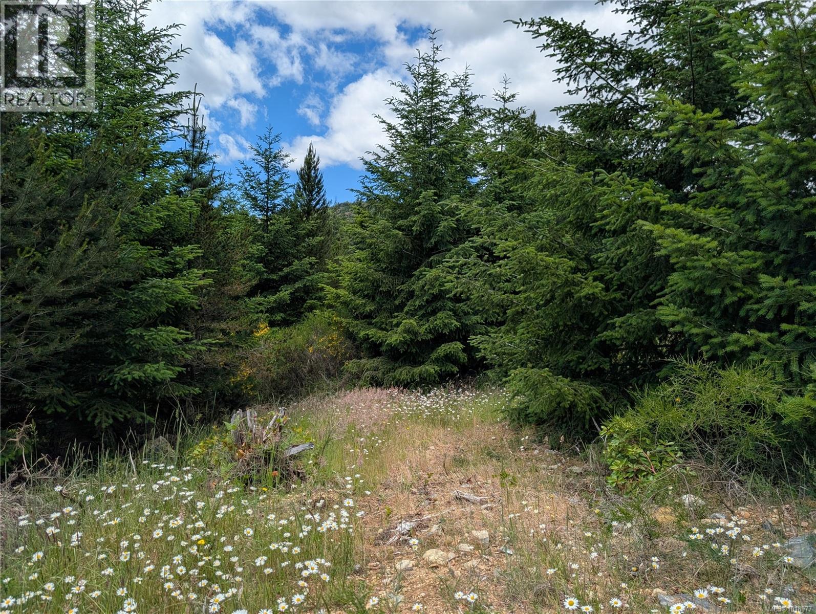 Lot 2 Eagle Vista Rd, Shawnigan Lake, British Columbia V8H 2J1 - Photo 22 - 1018977