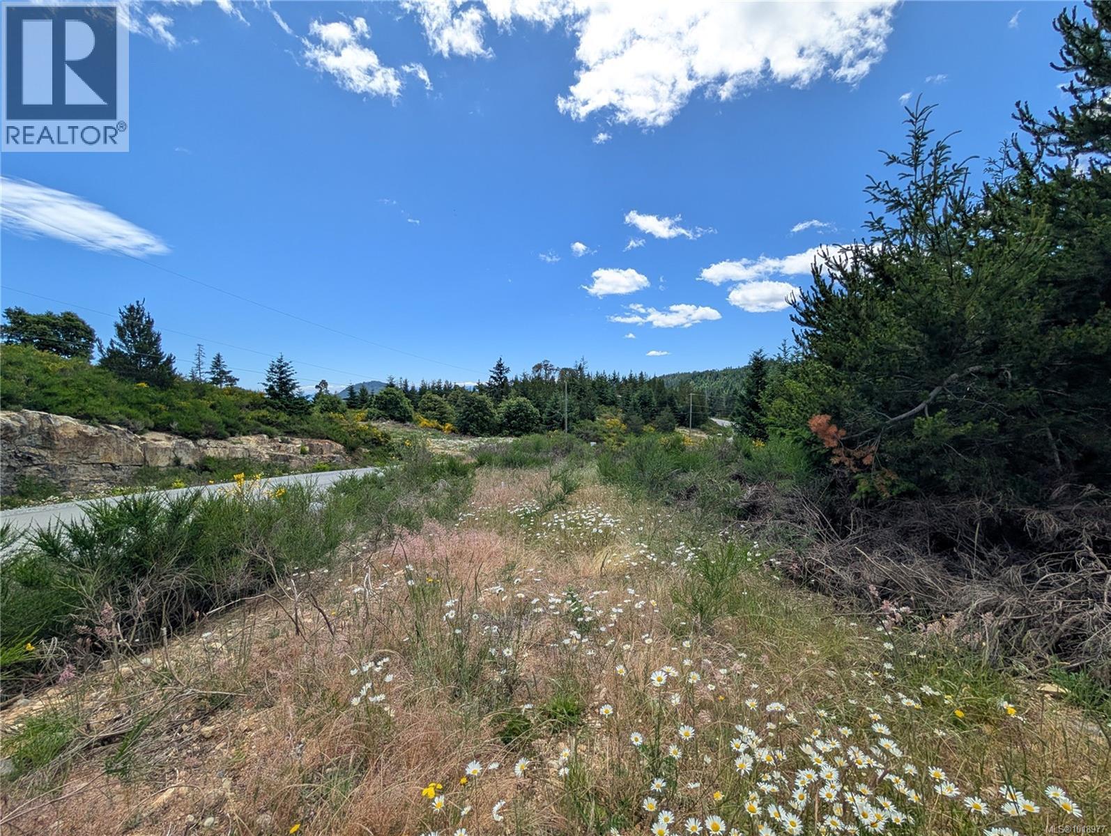 Lot 2 Eagle Vista Rd, Shawnigan Lake, British Columbia V8H 2J1 - Photo 13 - 1018977