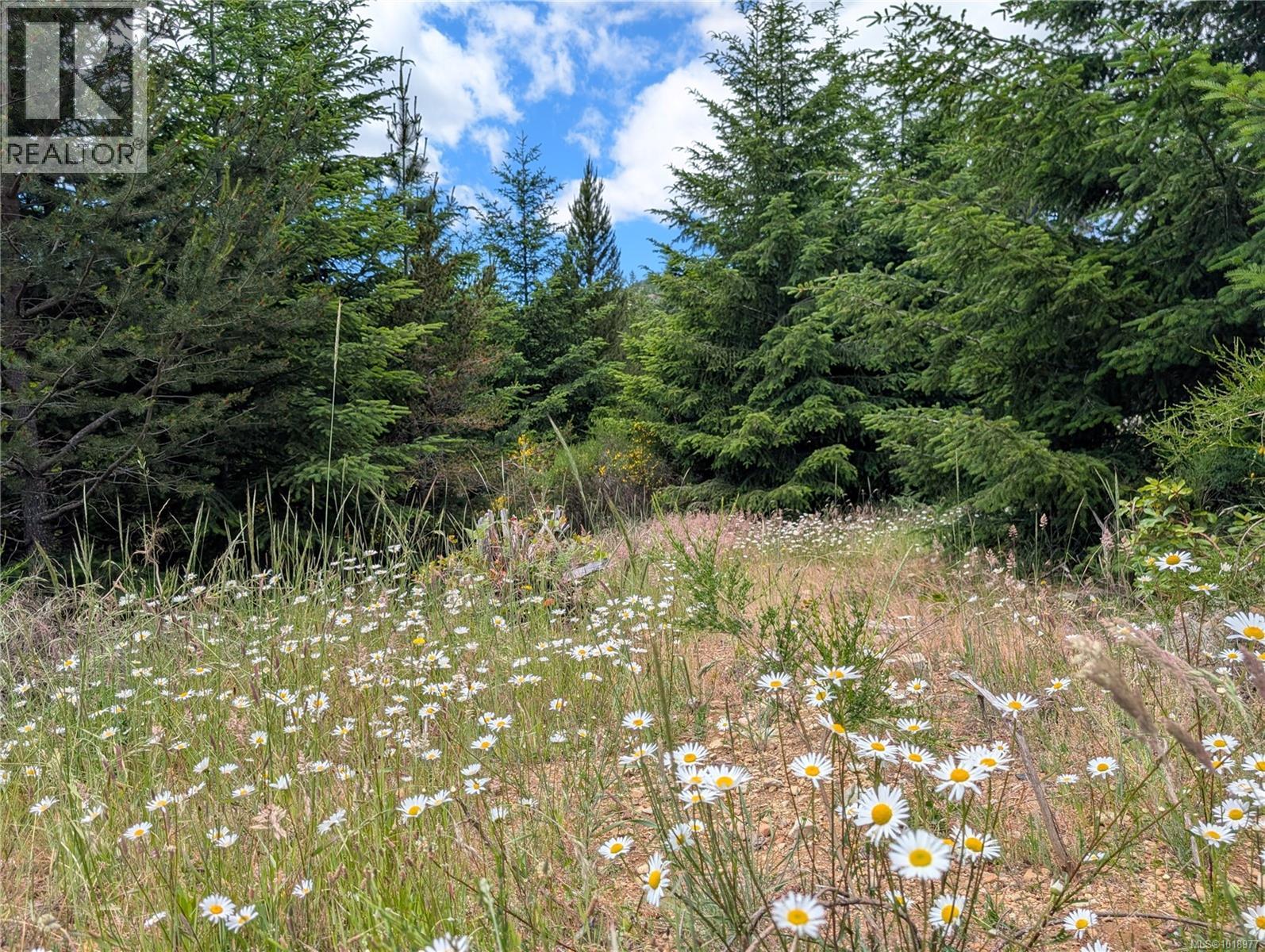 Lot 2 Eagle Vista Rd, Shawnigan Lake, British Columbia V8H 2J1 - Photo 24 - 1018977