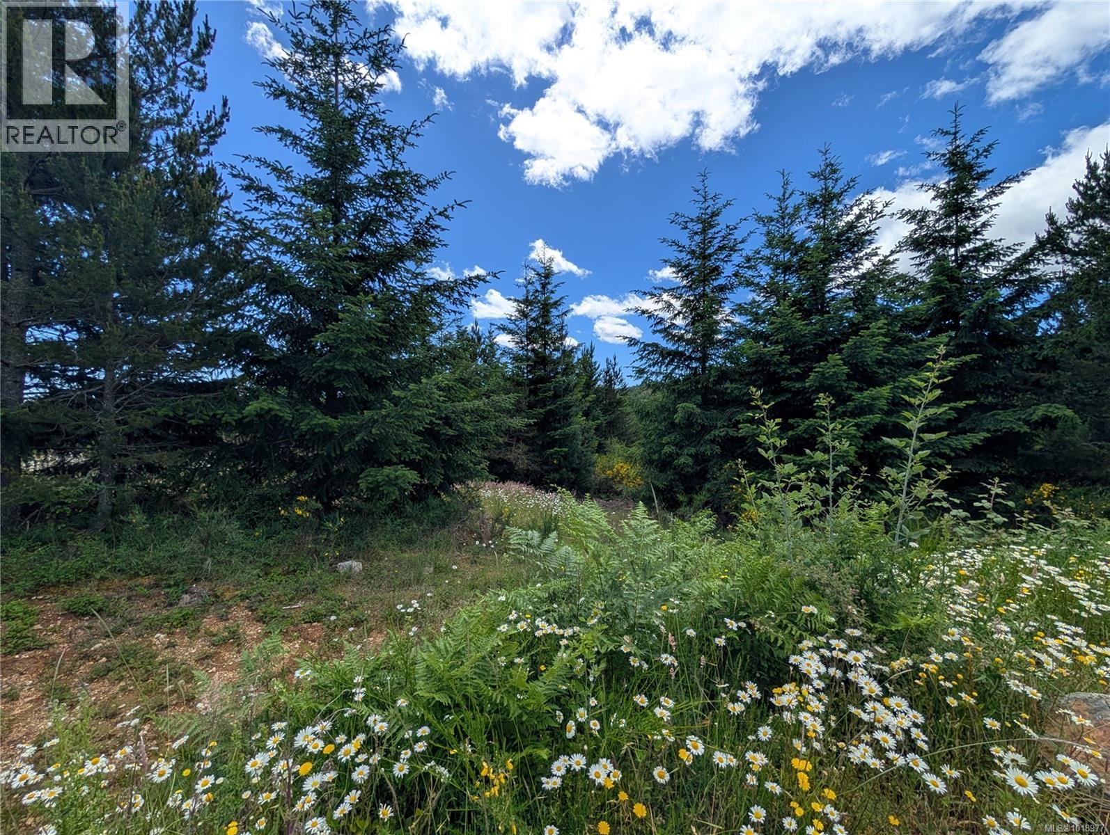 Lot 2 Eagle Vista Rd, Shawnigan Lake, British Columbia V8H 2J1 - Photo 6 - 1018977