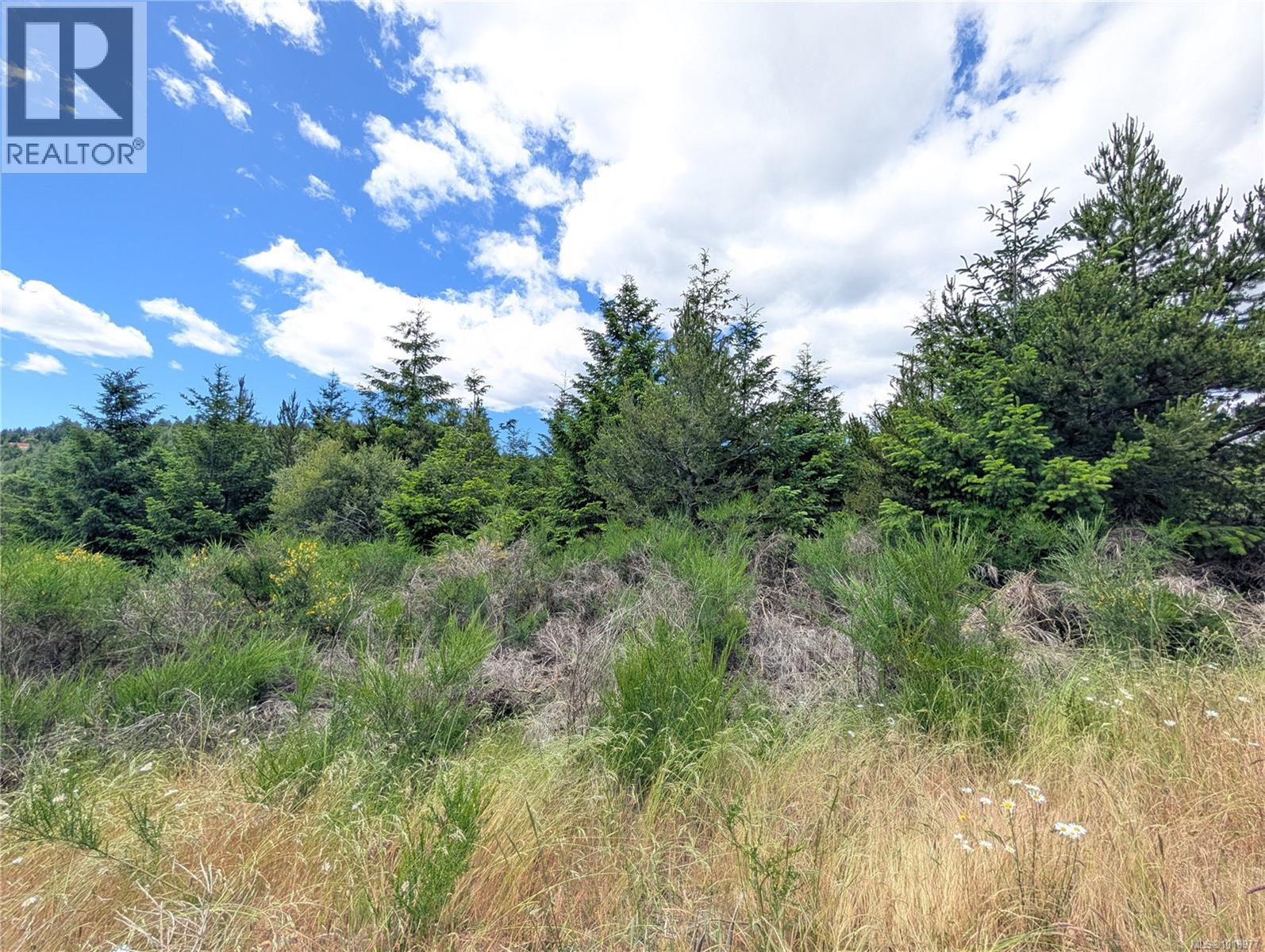 Lot 2 Eagle Vista Rd, Shawnigan Lake, British Columbia V8H 2J1 - Photo 17 - 1018977