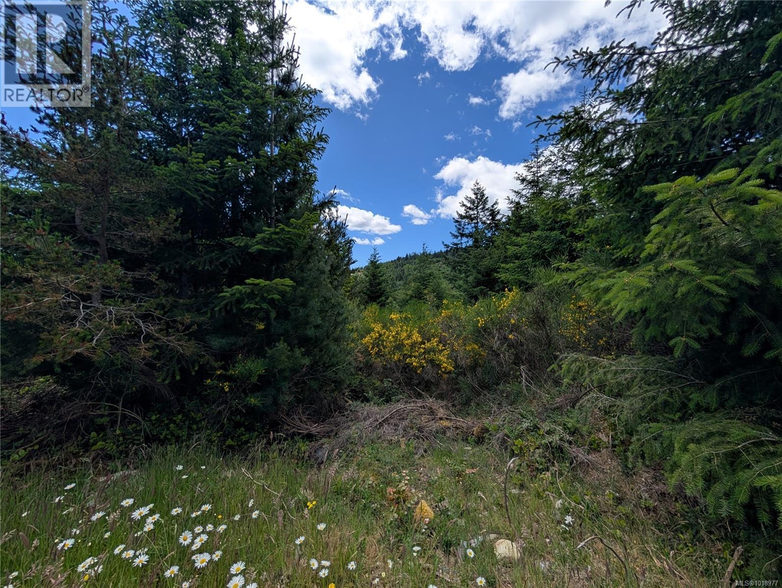 Lot 2 Eagle Vista Rd, Shawnigan Lake, British Columbia V8H 2J1 - Photo 12 - 1018977