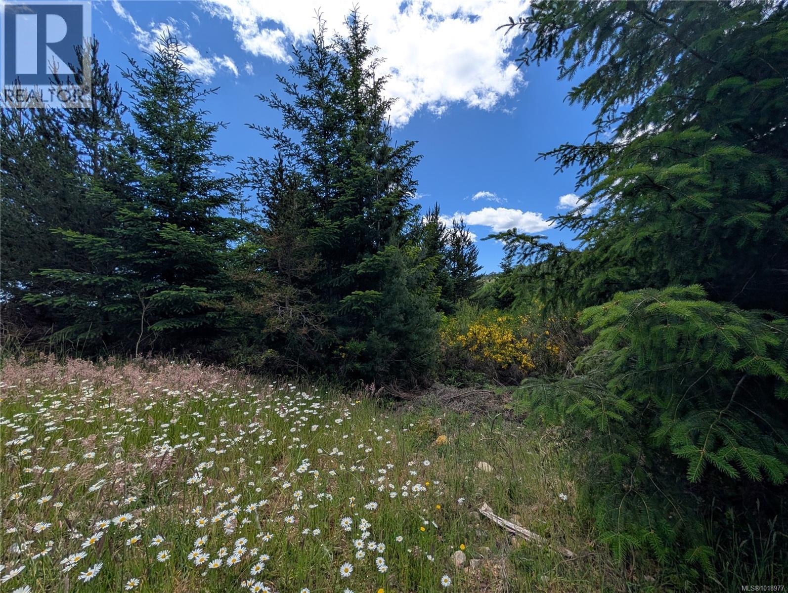 Lot 2 Eagle Vista Rd, Shawnigan Lake, British Columbia V8H 2J1 - Photo 11 - 1018977