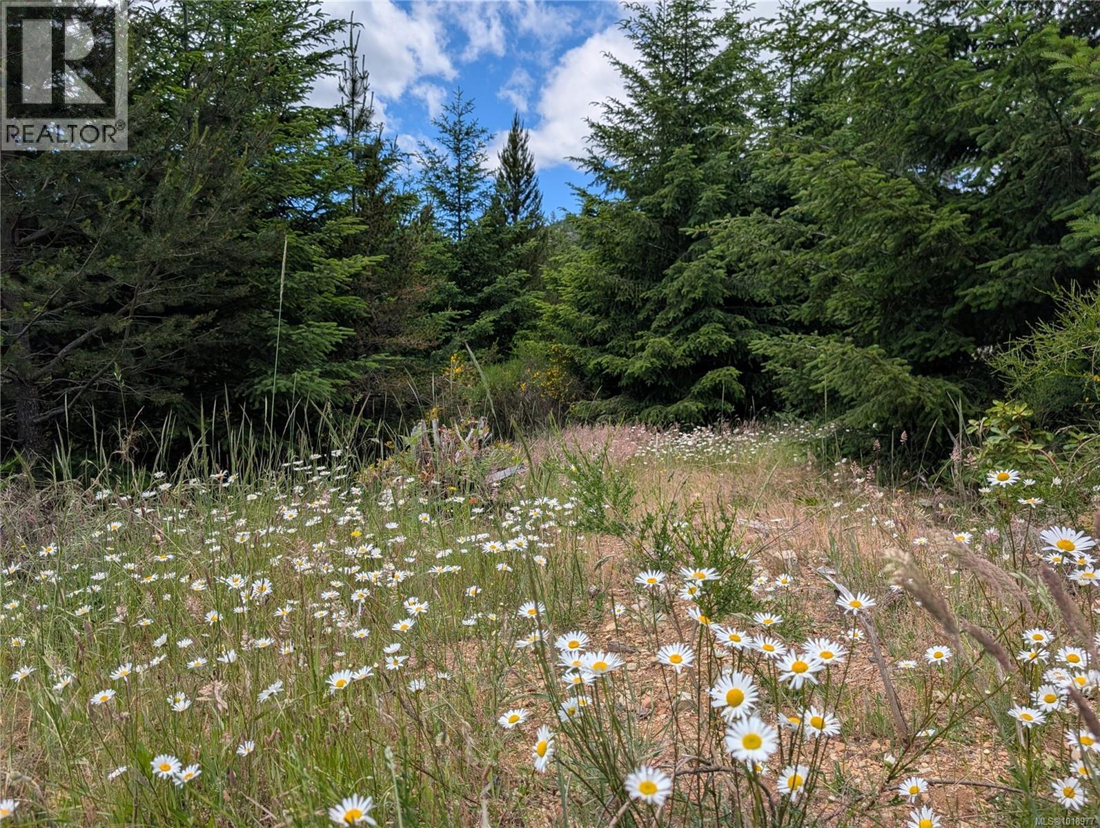 Lot 2 Eagle Vista Rd, Shawnigan Lake, British Columbia V8H 2J1 - Photo 23 - 1018977