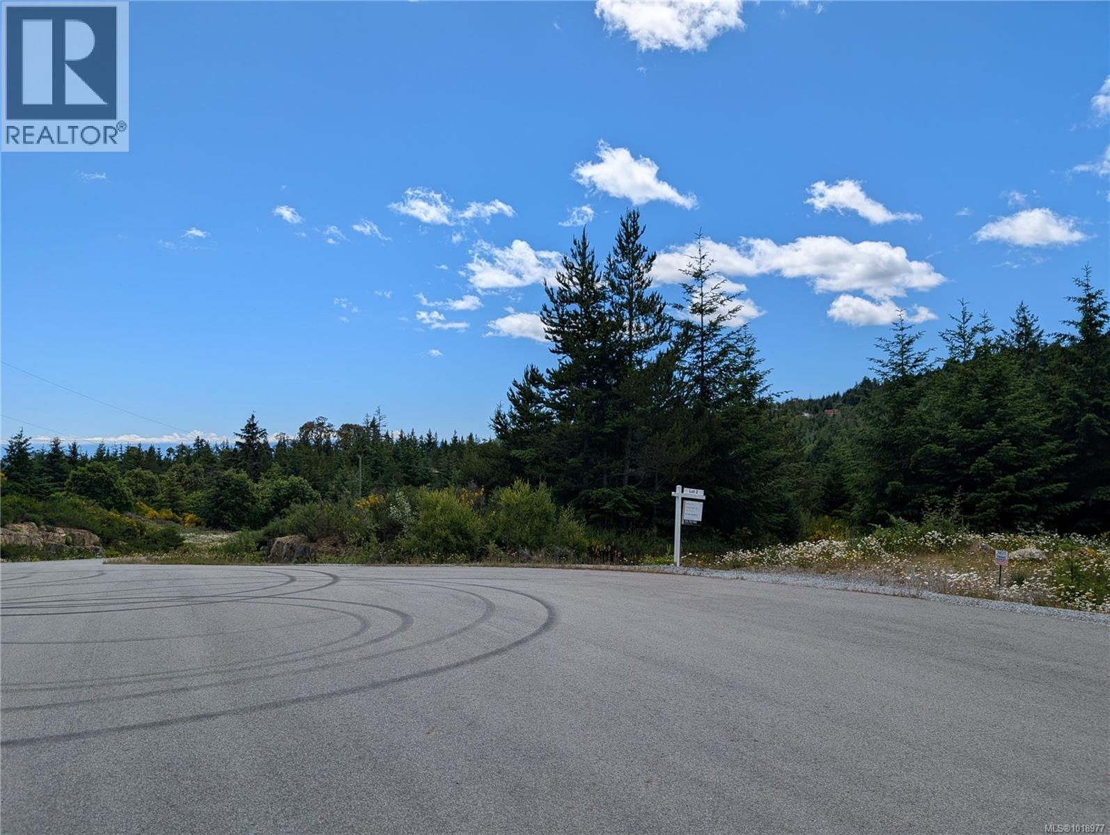 Lot 2 Eagle Vista Rd, Shawnigan Lake, British Columbia V8H 2J1 - Photo 3 - 1018977