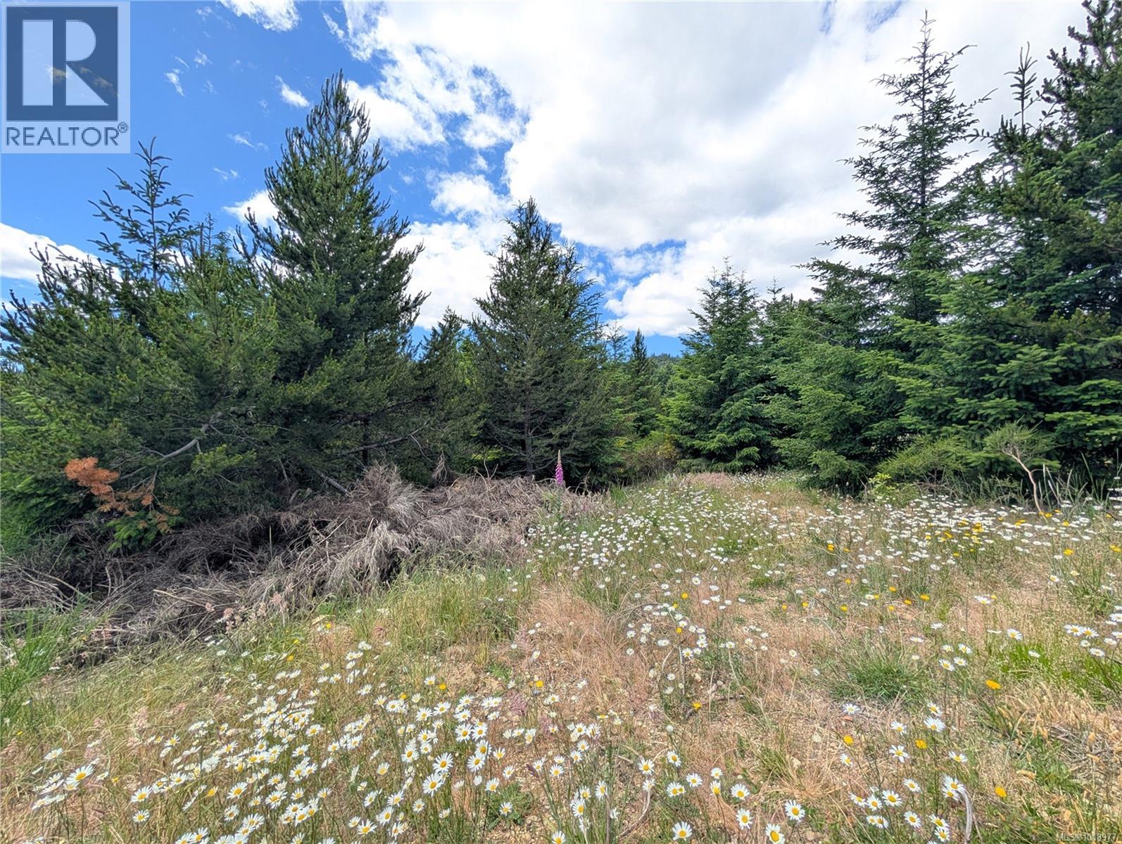 Lot 2 Eagle Vista Rd, Shawnigan Lake, British Columbia V8H 2J1 - Photo 14 - 1018977