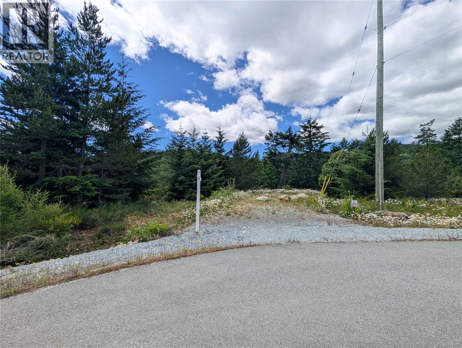 Lot 2 Eagle Vista Rd, Shawnigan Lake, British Columbia V8H 2J1 - Photo 4 - 1018977