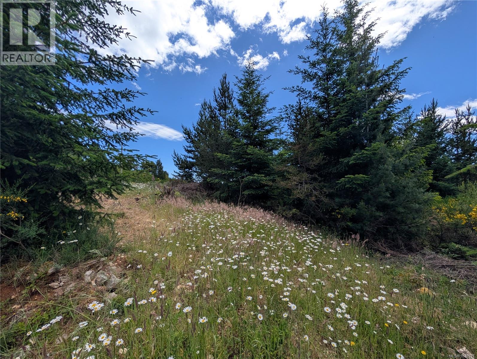 Lot 2 Eagle Vista Rd, Shawnigan Lake, British Columbia V8H 2J1 - Photo 10 - 1018977