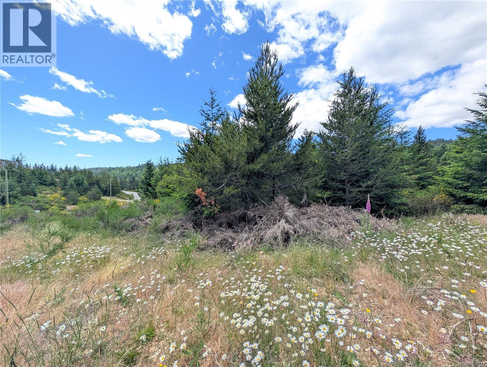 Lot 2 Eagle Vista Rd, Shawnigan Lake, British Columbia V8H 2J1 - Photo 15 - 1018977