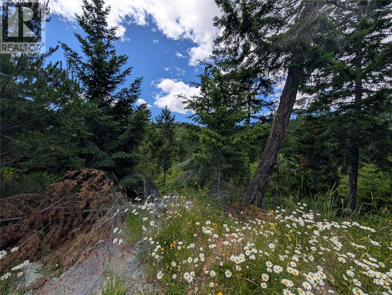 Lot 2 Eagle Vista Rd, Shawnigan Lake, British Columbia V8H 2J1 - Photo 8 - 1018977