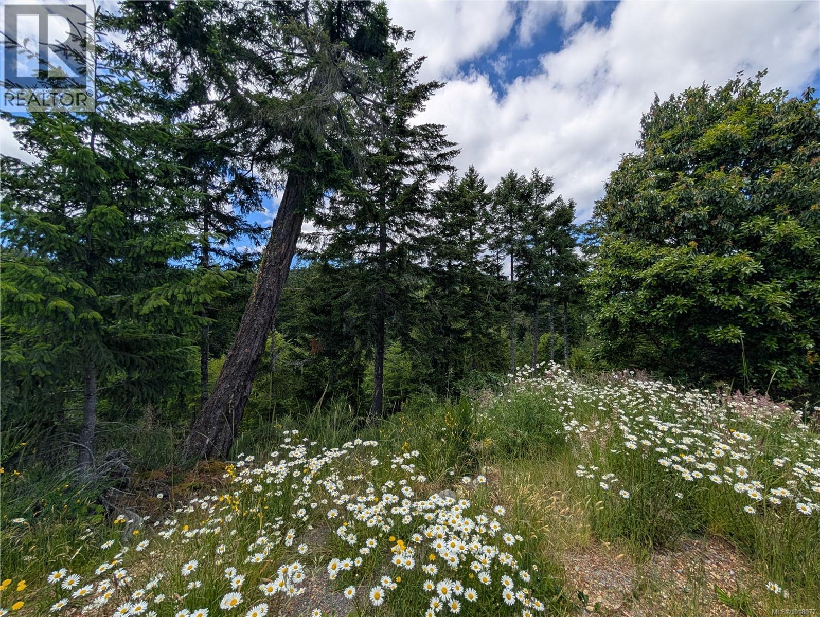 Lot 2 Eagle Vista Rd, Shawnigan Lake, British Columbia V8H 2J1 - Photo 9 - 1018977