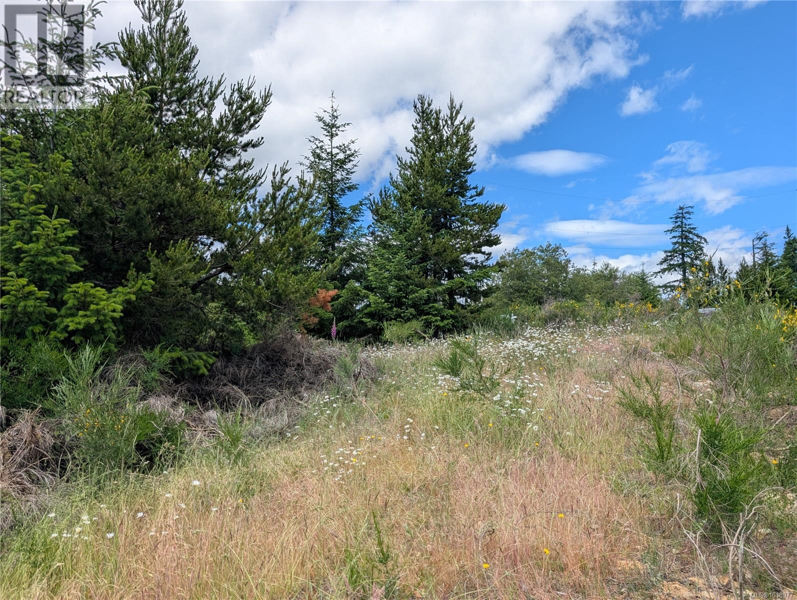 Lot 2 Eagle Vista Rd, Shawnigan Lake, British Columbia V8H 2J1 - Photo 19 - 1018977