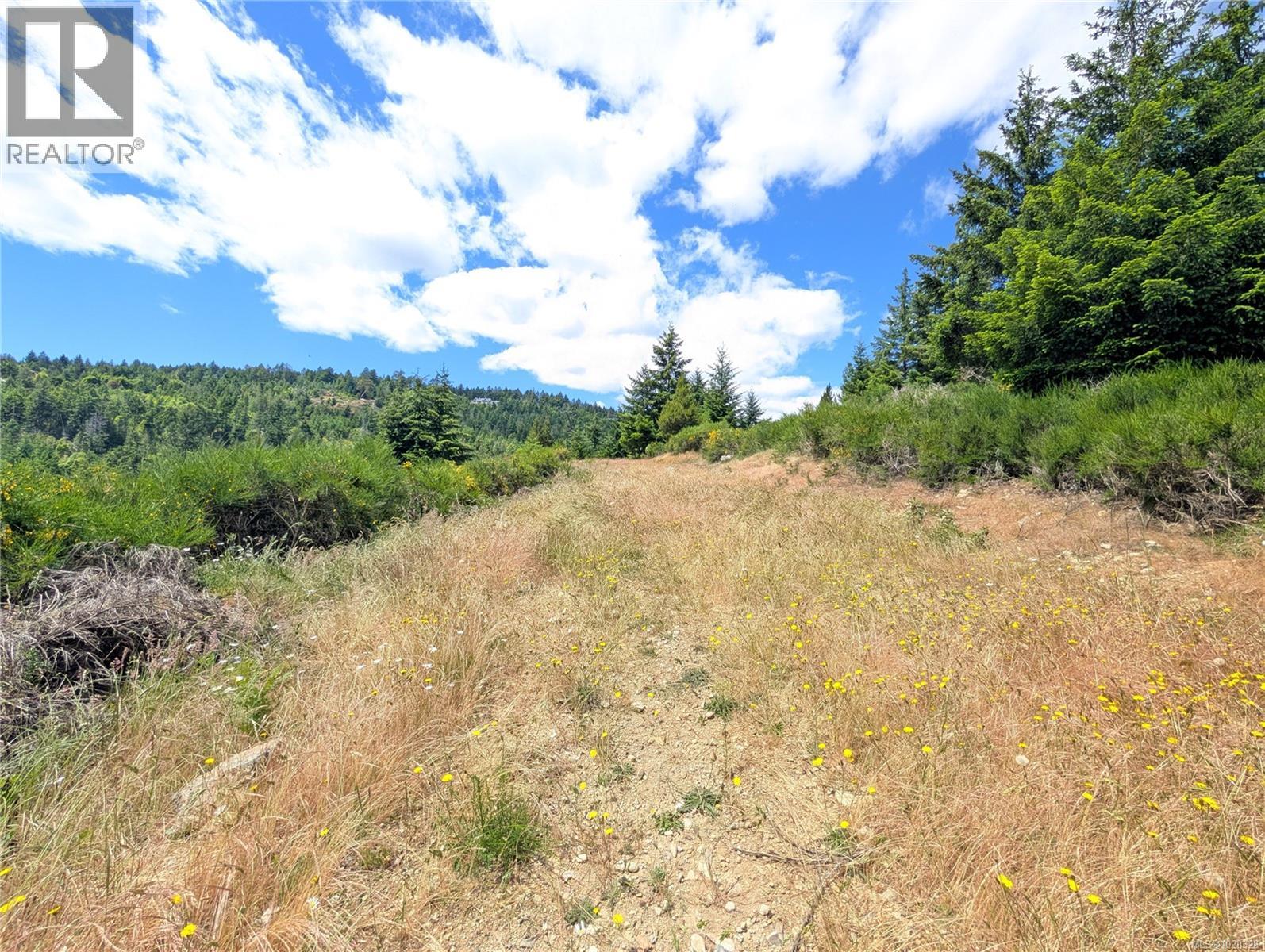 Lot 24 Eagle Dr, Shawnigan Lake, British Columbia  V8H 2J1 - Photo 19 - 1020328