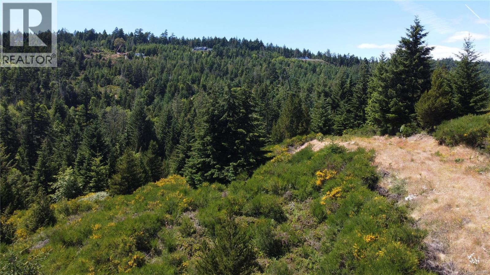 Lot 24 Eagle Dr, Shawnigan Lake, British Columbia  V8H 2J1 - Photo 10 - 1020328