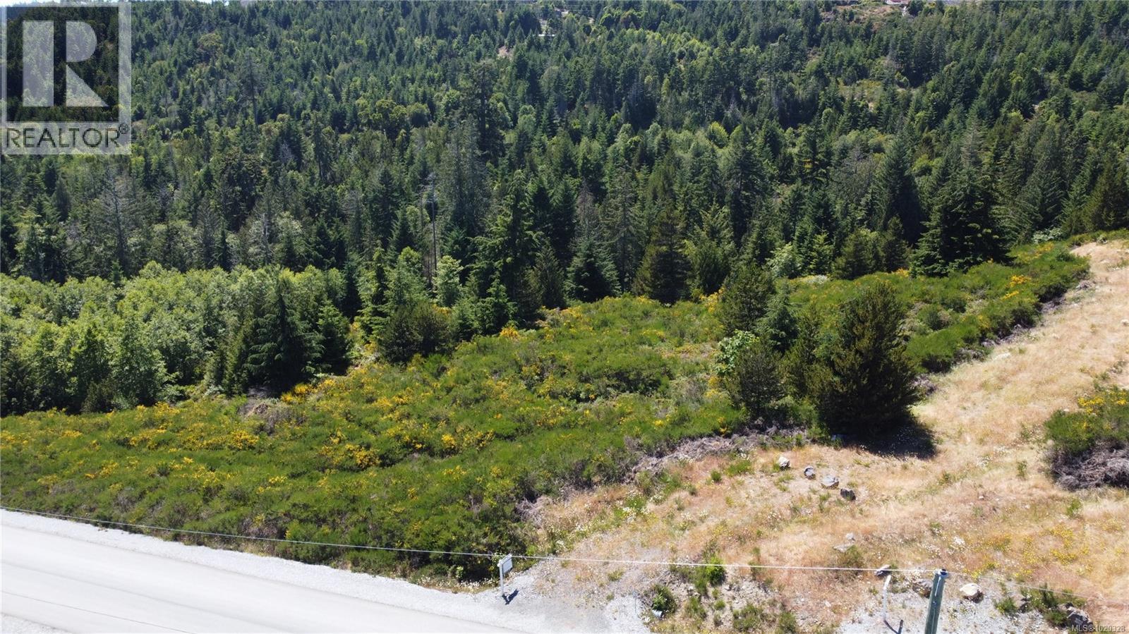 Lot 24 Eagle Dr, Shawnigan Lake, British Columbia  V8H 2J1 - Photo 7 - 1020328