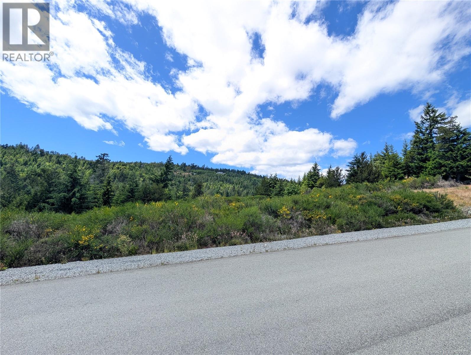 Lot 24 Eagle Dr, Shawnigan Lake, British Columbia  V8H 2J1 - Photo 11 - 1020328