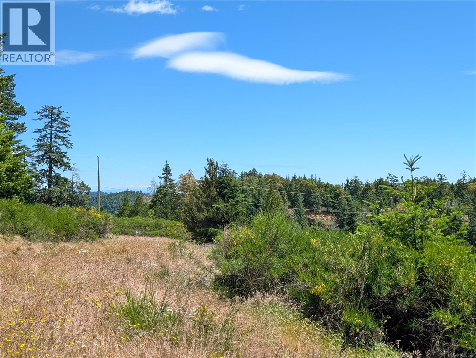Lot 24 Eagle Dr, Shawnigan Lake, British Columbia  V8H 2J1 - Photo 29 - 1020328