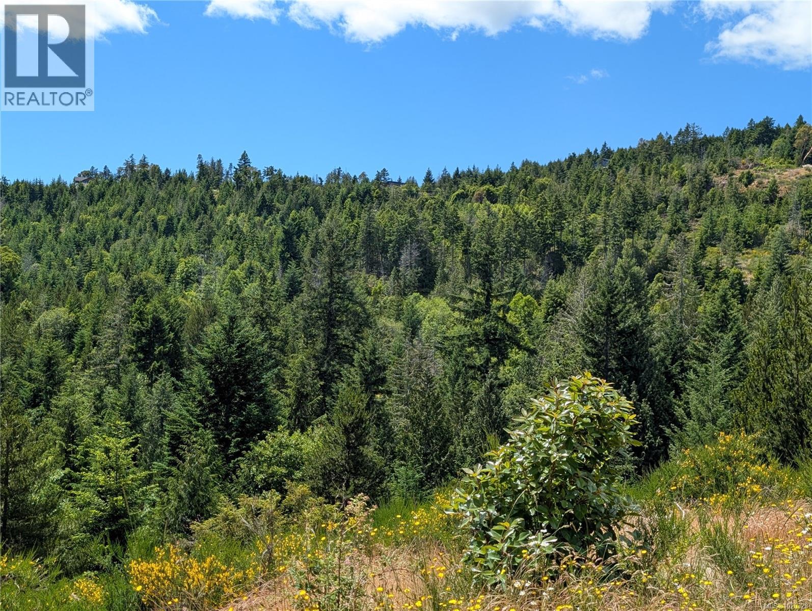 Lot 24 Eagle Dr, Shawnigan Lake, British Columbia  V8H 2J1 - Photo 30 - 1020328