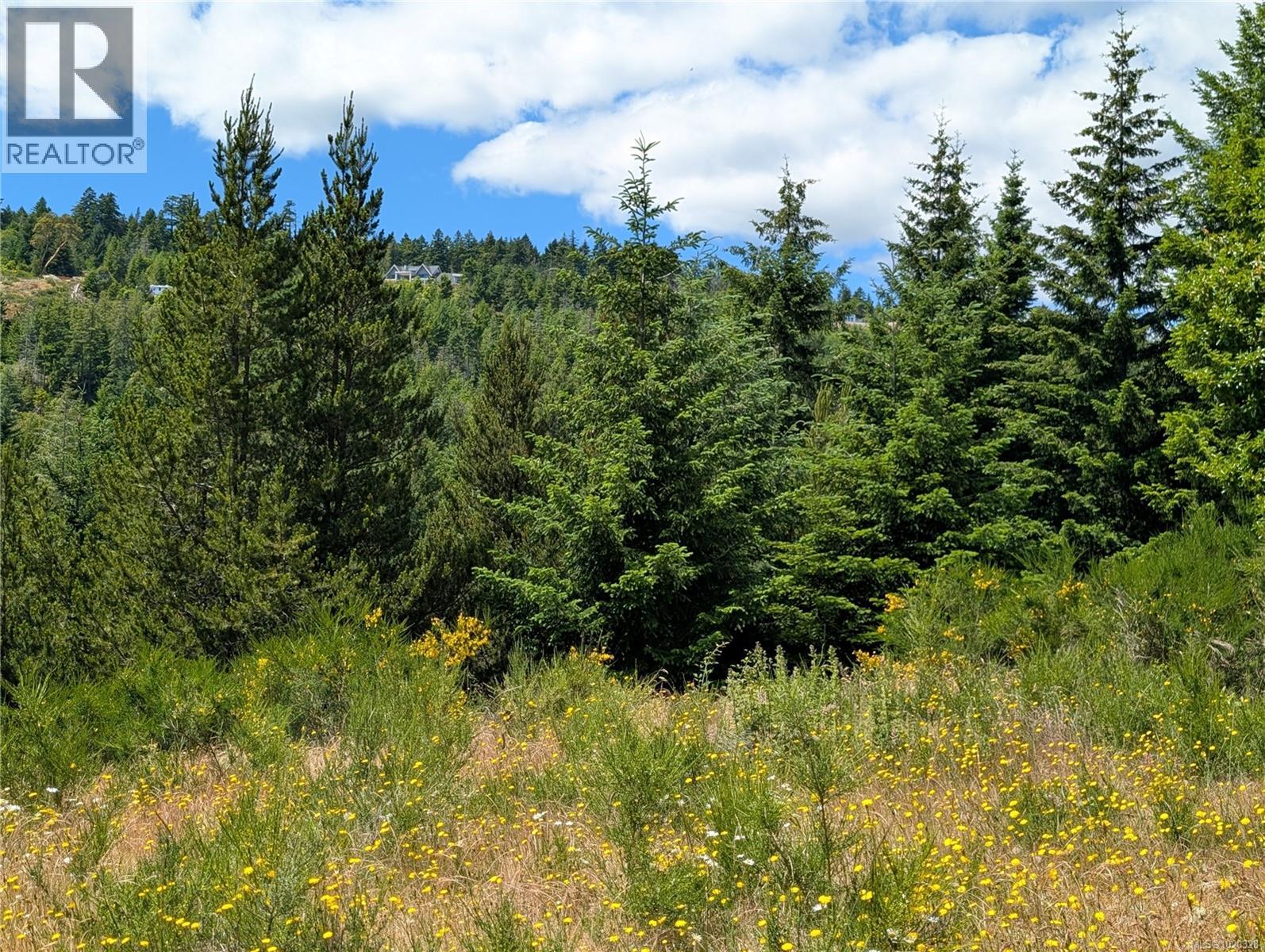 Lot 24 Eagle Dr, Shawnigan Lake, British Columbia  V8H 2J1 - Photo 31 - 1020328