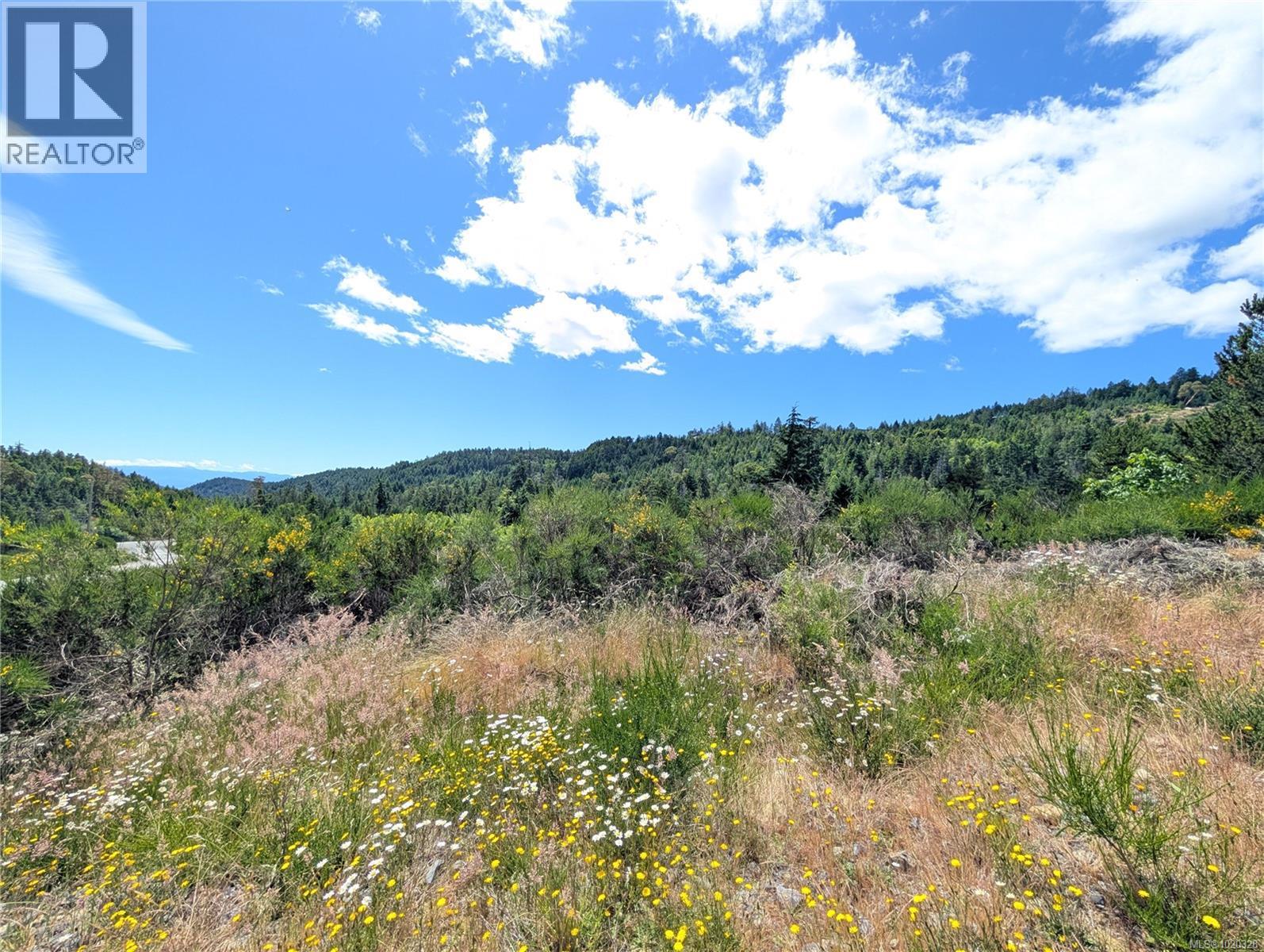 Lot 24 Eagle Dr, Shawnigan Lake, British Columbia  V8H 2J1 - Photo 14 - 1020328