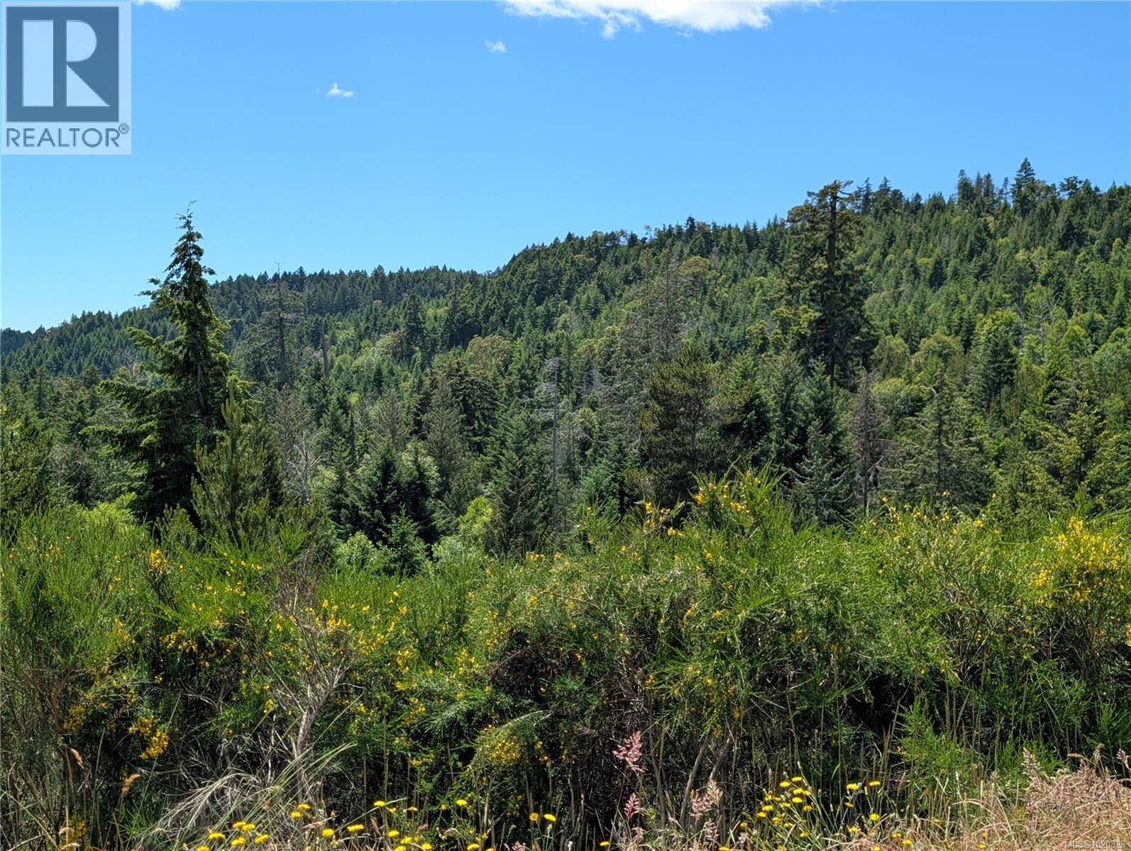 Lot 24 Eagle Dr, Shawnigan Lake, British Columbia  V8H 2J1 - Photo 32 - 1020328