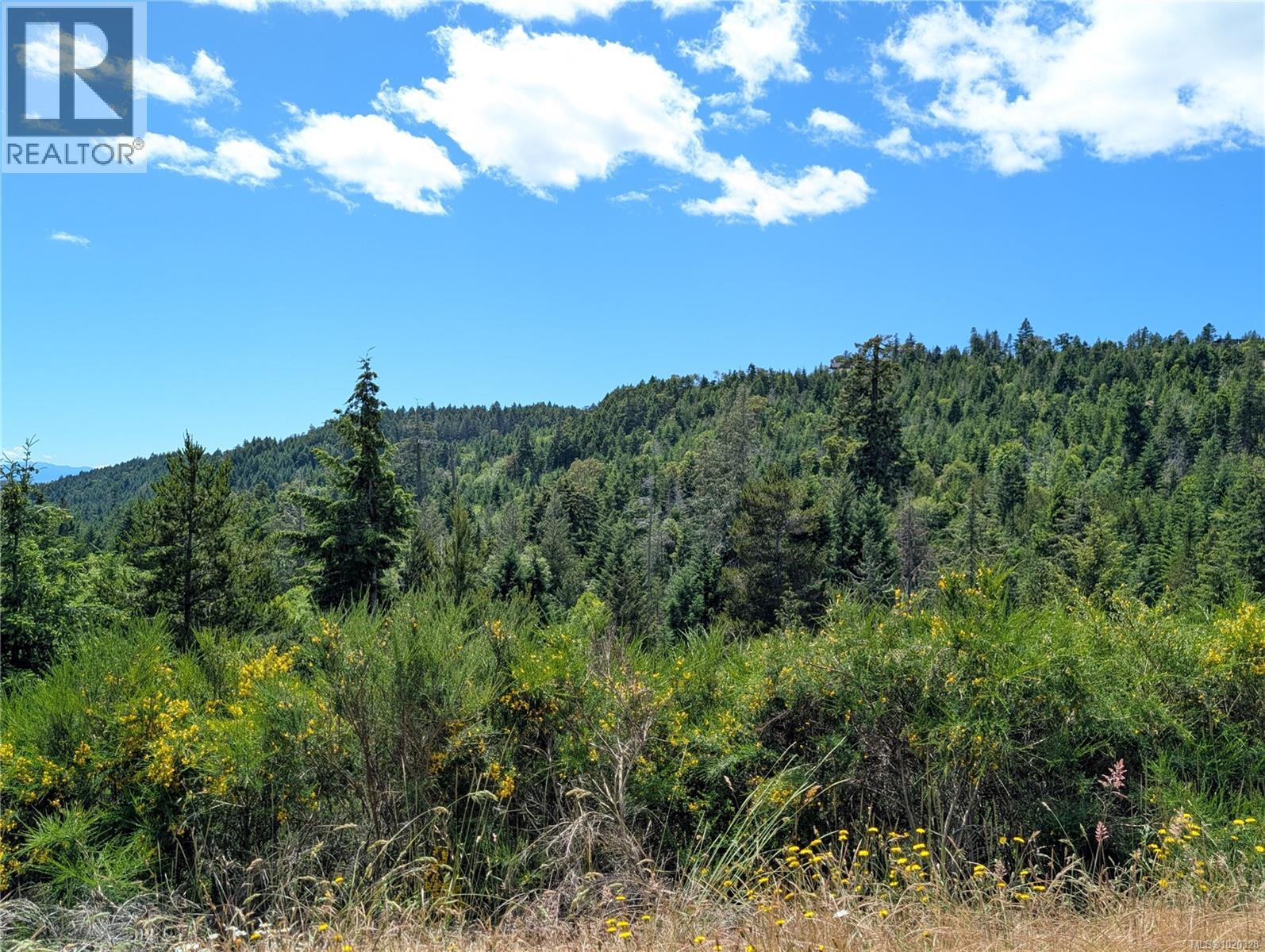 Lot 24 Eagle Dr, Shawnigan Lake, British Columbia  V8H 2J1 - Photo 22 - 1020328