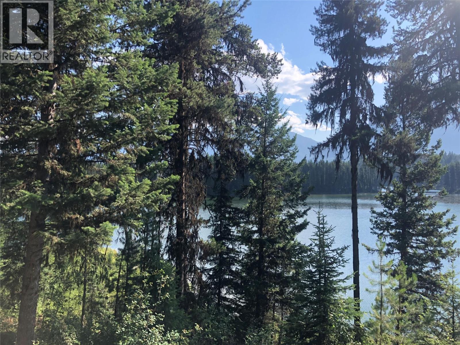Km 44 Westside Road, Brisco, British Columbia  V0B 1B0 - Photo 4 - 10391164