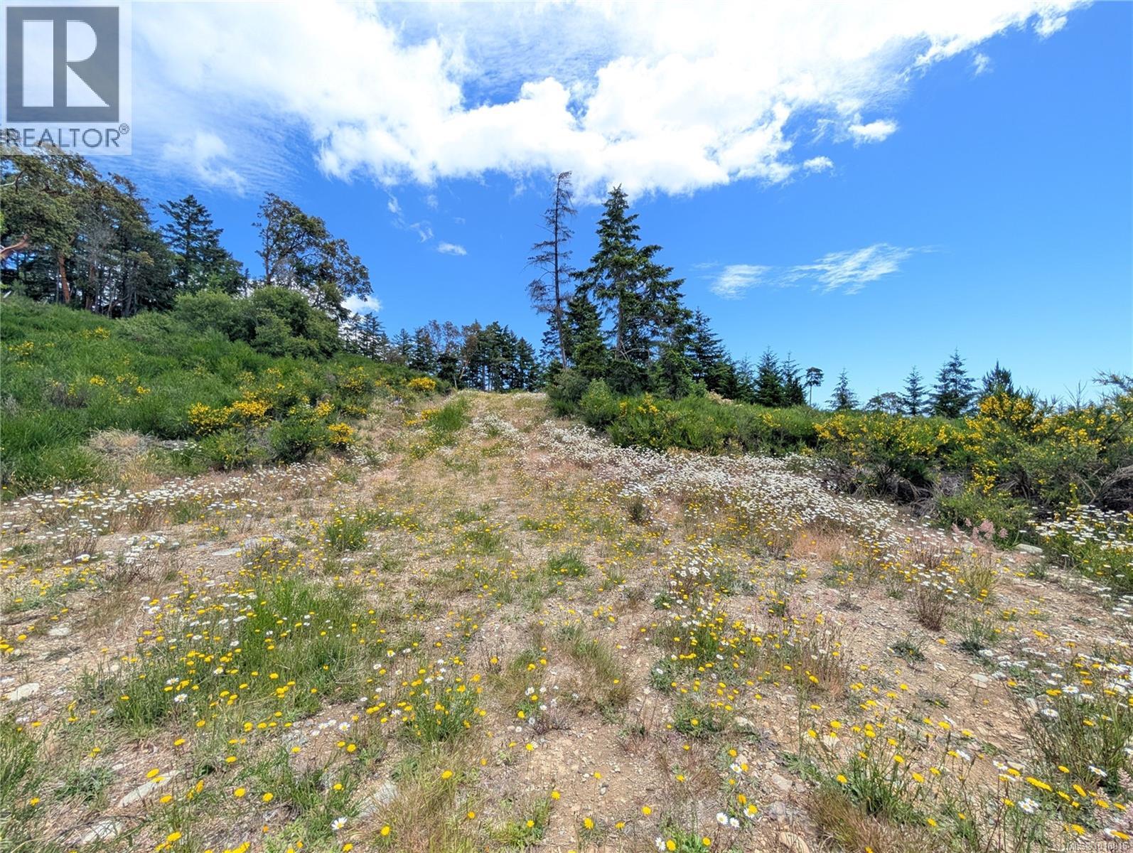 Lot 7 Eagle Vista Rd, Shawnigan Lake, British Columbia  V8H 2J1 - Photo 36 - 1018915