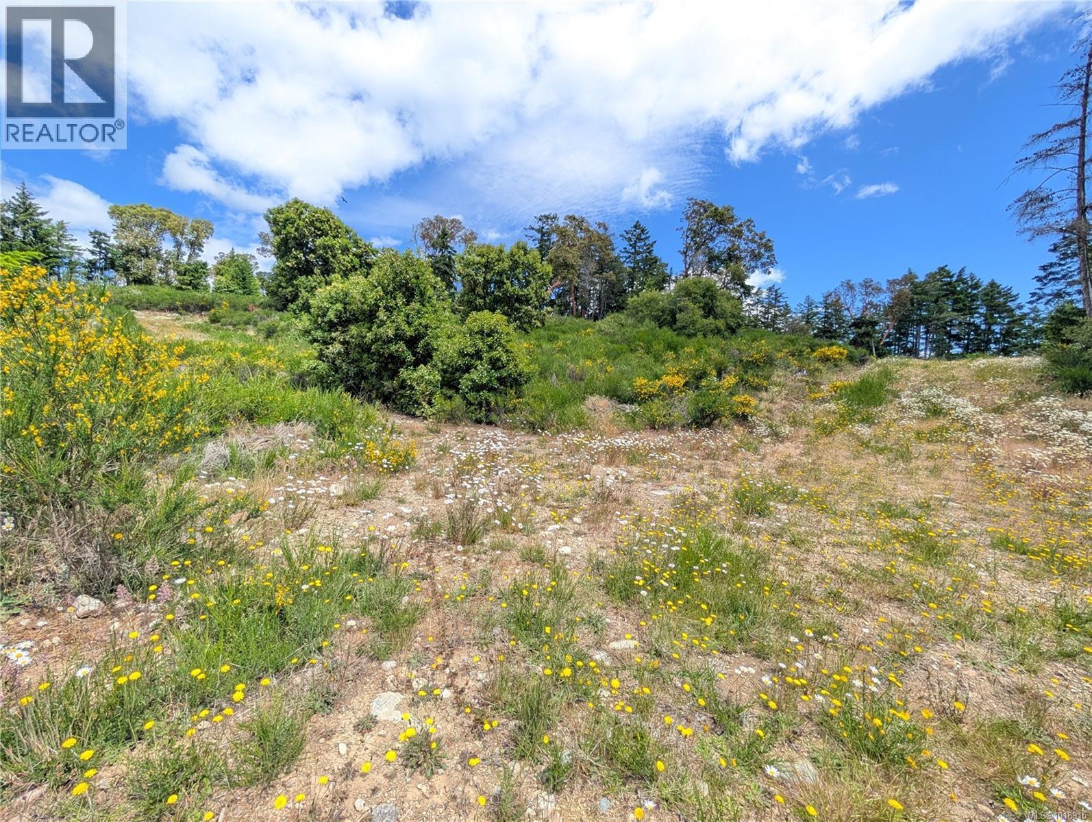 Lot 7 Eagle Vista Rd, Shawnigan Lake, British Columbia  V8H 2J1 - Photo 37 - 1018915
