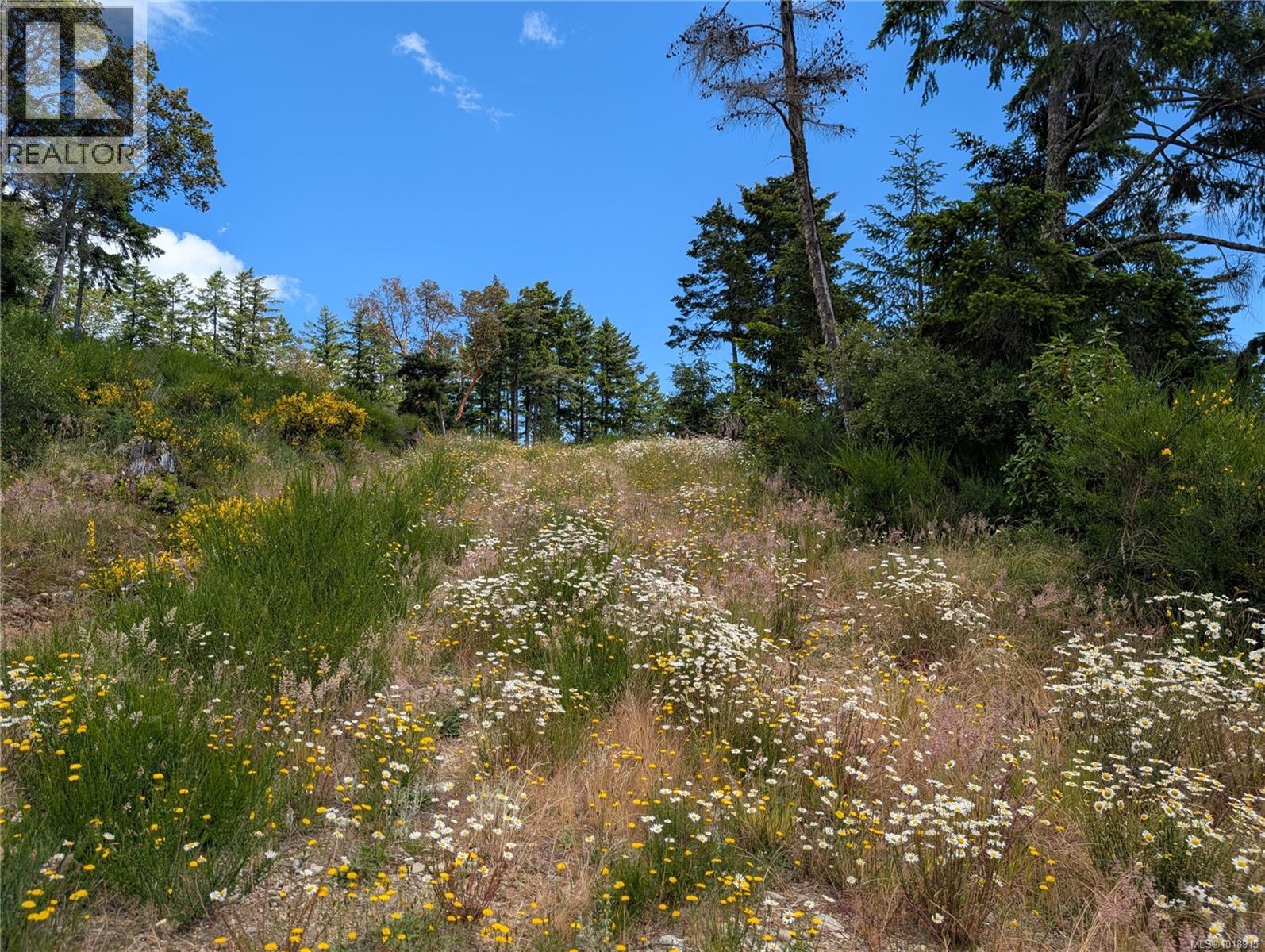 Lot 7 Eagle Vista Rd, Shawnigan Lake, British Columbia  V8H 2J1 - Photo 18 - 1018915