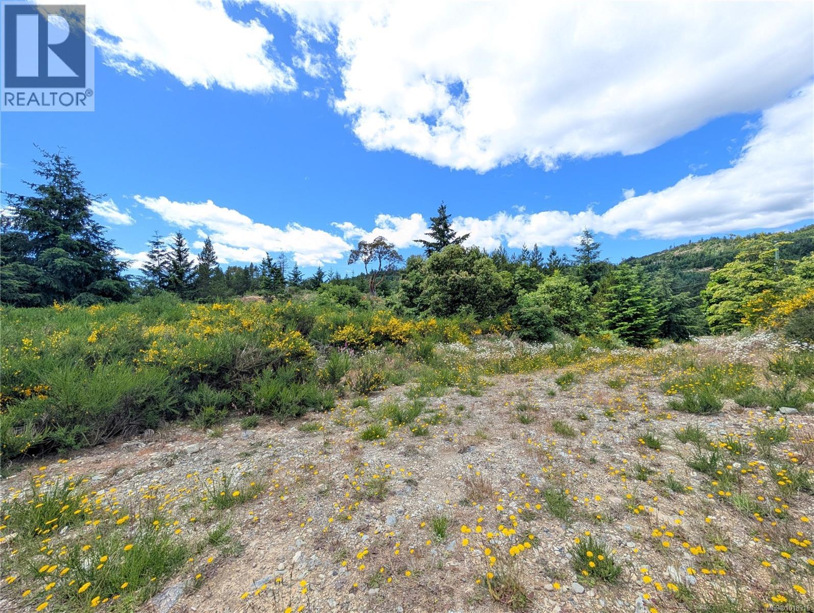 Lot 7 Eagle Vista Rd, Shawnigan Lake, British Columbia  V8H 2J1 - Photo 33 - 1018915