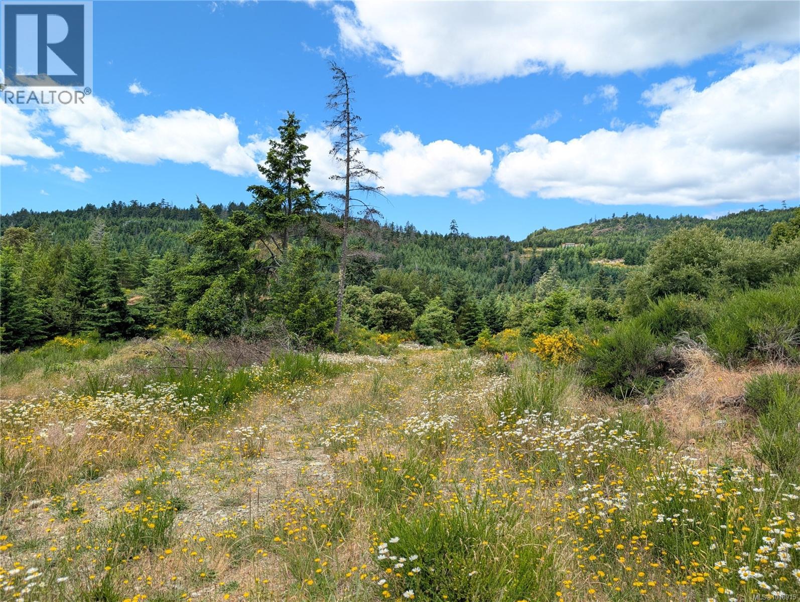 Lot 7 Eagle Vista Rd, Shawnigan Lake, British Columbia  V8H 2J1 - Photo 21 - 1018915