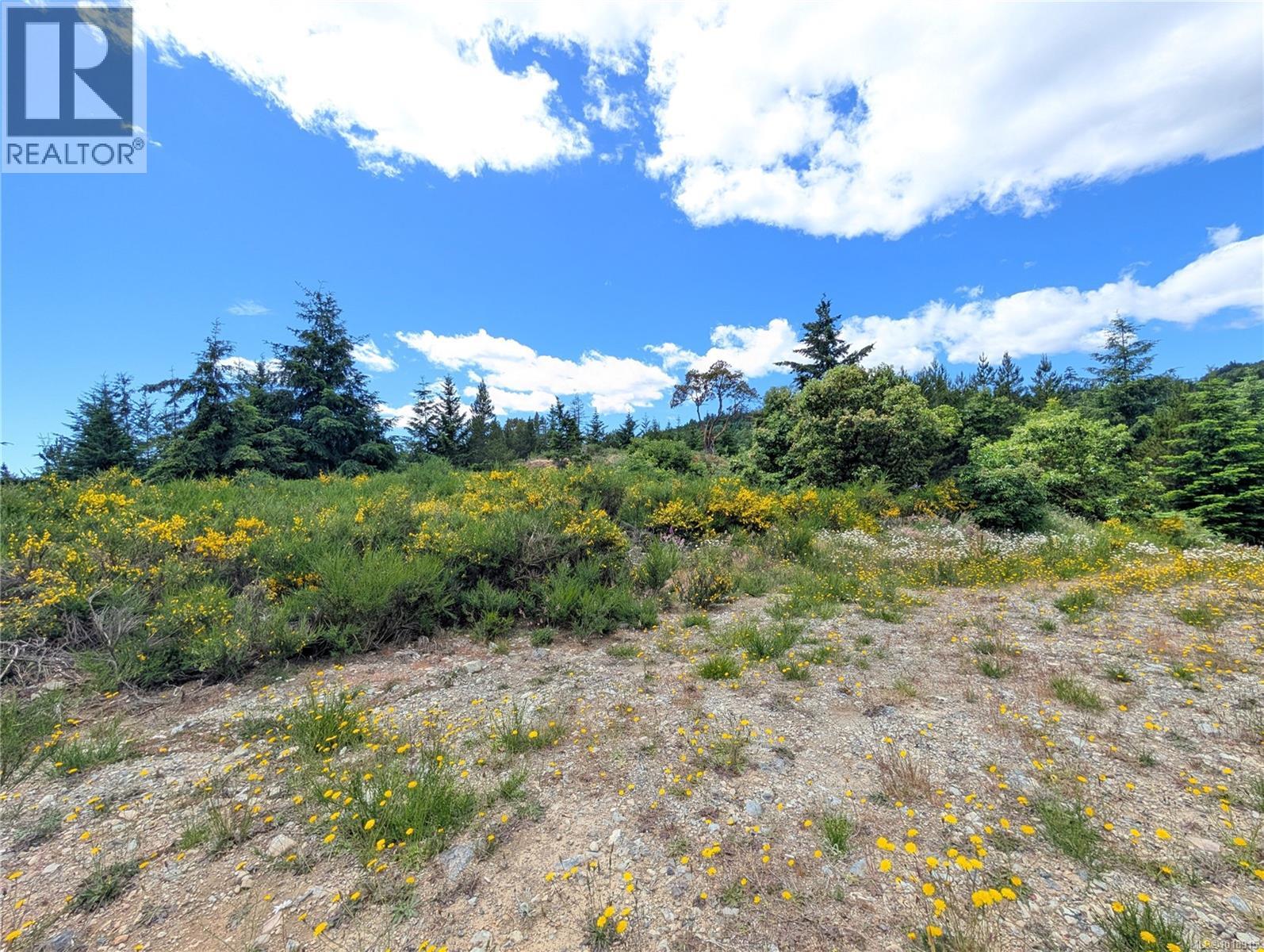 Lot 7 Eagle Vista Rd, Shawnigan Lake, British Columbia  V8H 2J1 - Photo 34 - 1018915
