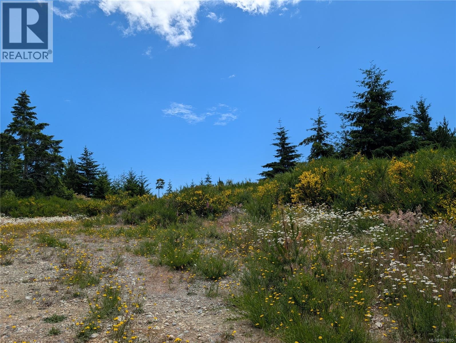 Lot 7 Eagle Vista Rd, Shawnigan Lake, British Columbia  V8H 2J1 - Photo 16 - 1018915