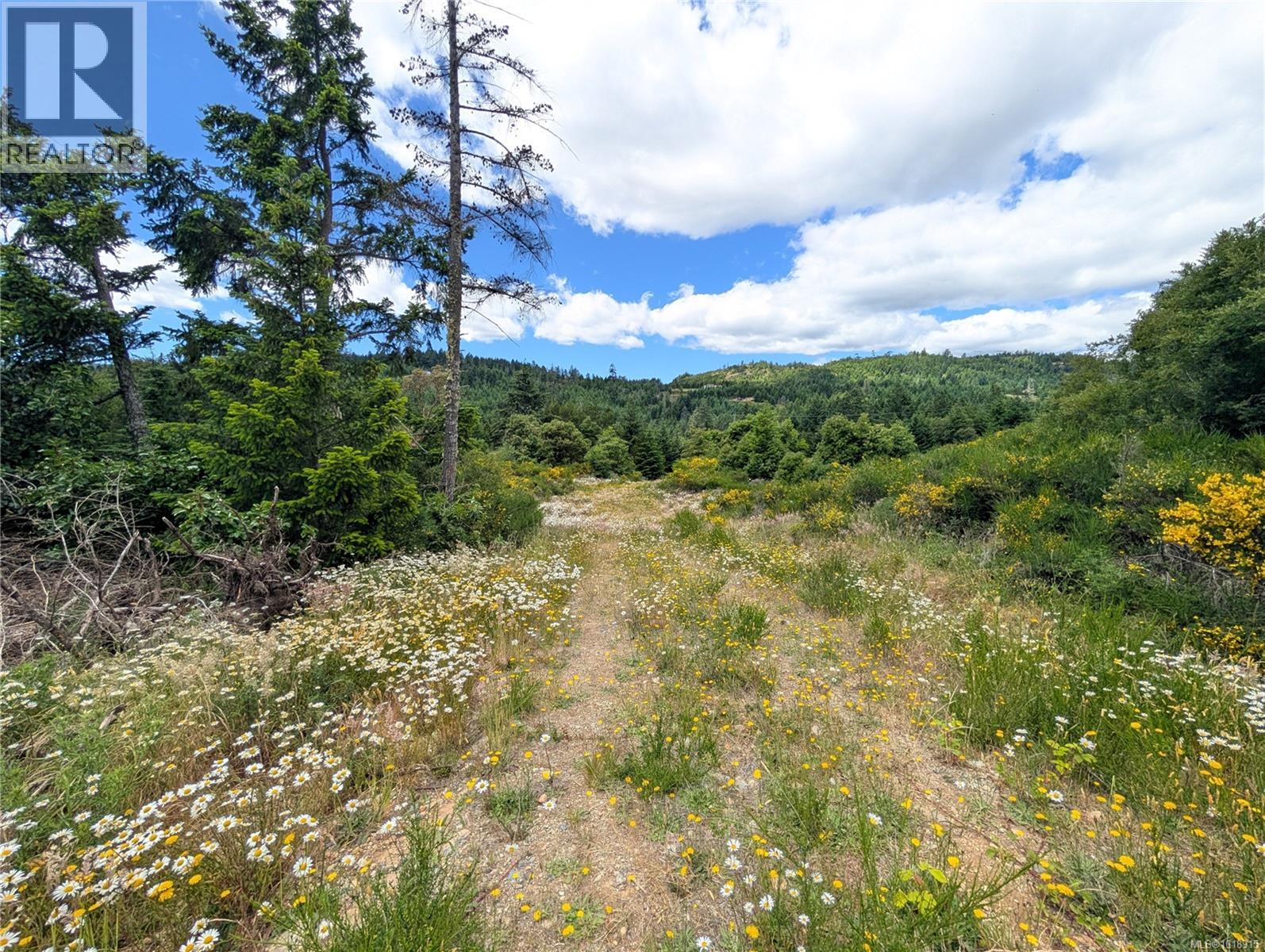 Lot 7 Eagle Vista Rd, Shawnigan Lake, British Columbia  V8H 2J1 - Photo 30 - 1018915