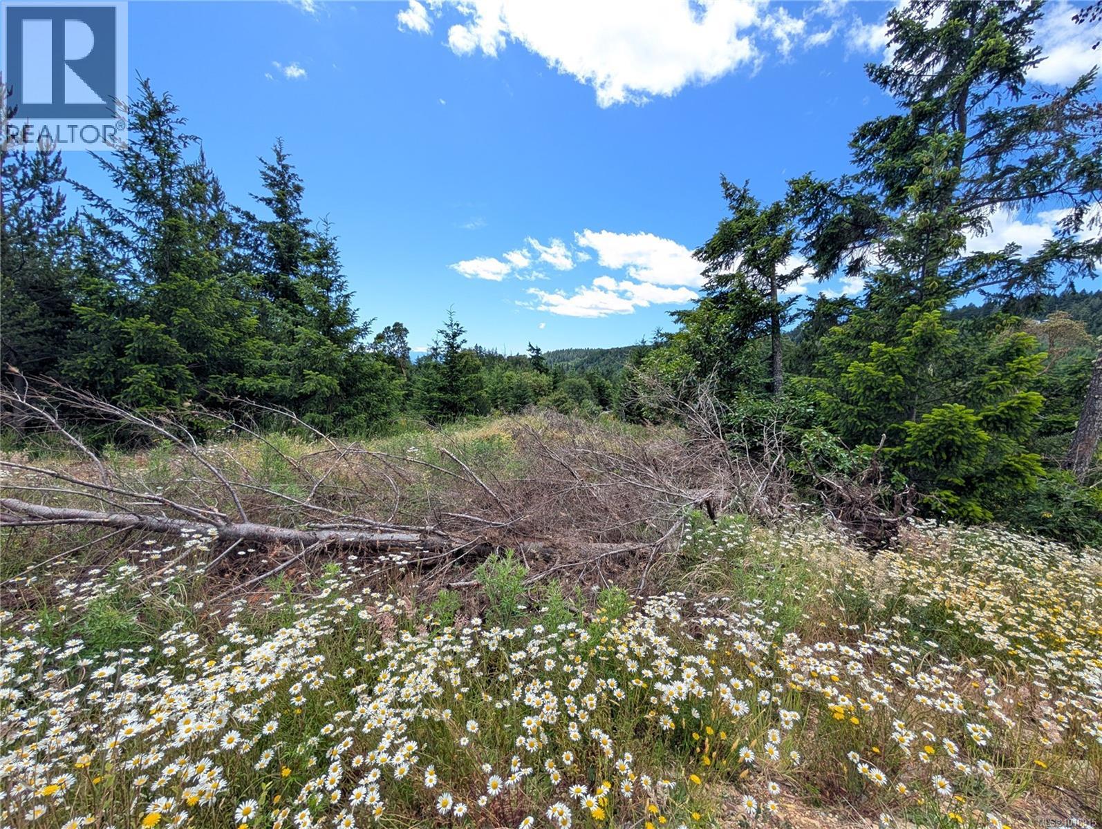 Lot 7 Eagle Vista Rd, Shawnigan Lake, British Columbia  V8H 2J1 - Photo 29 - 1018915