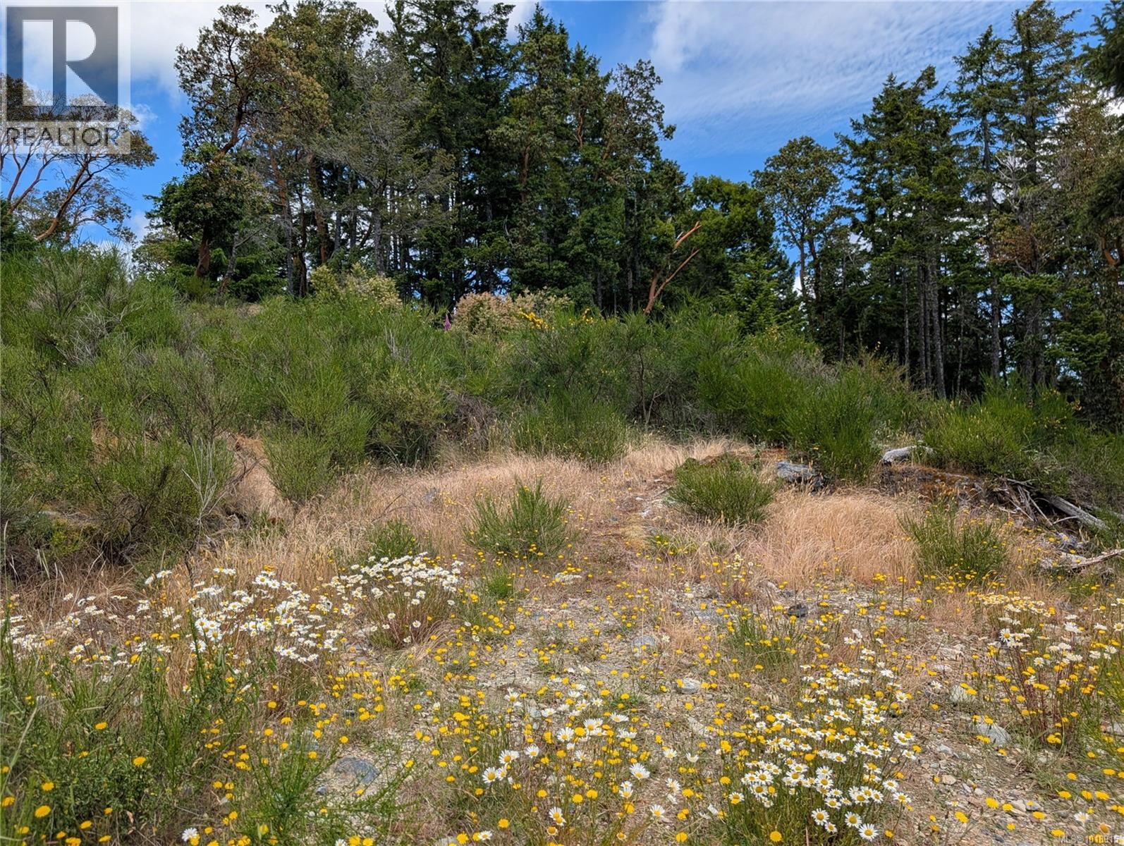 Lot 7 Eagle Vista Rd, Shawnigan Lake, British Columbia  V8H 2J1 - Photo 20 - 1018915