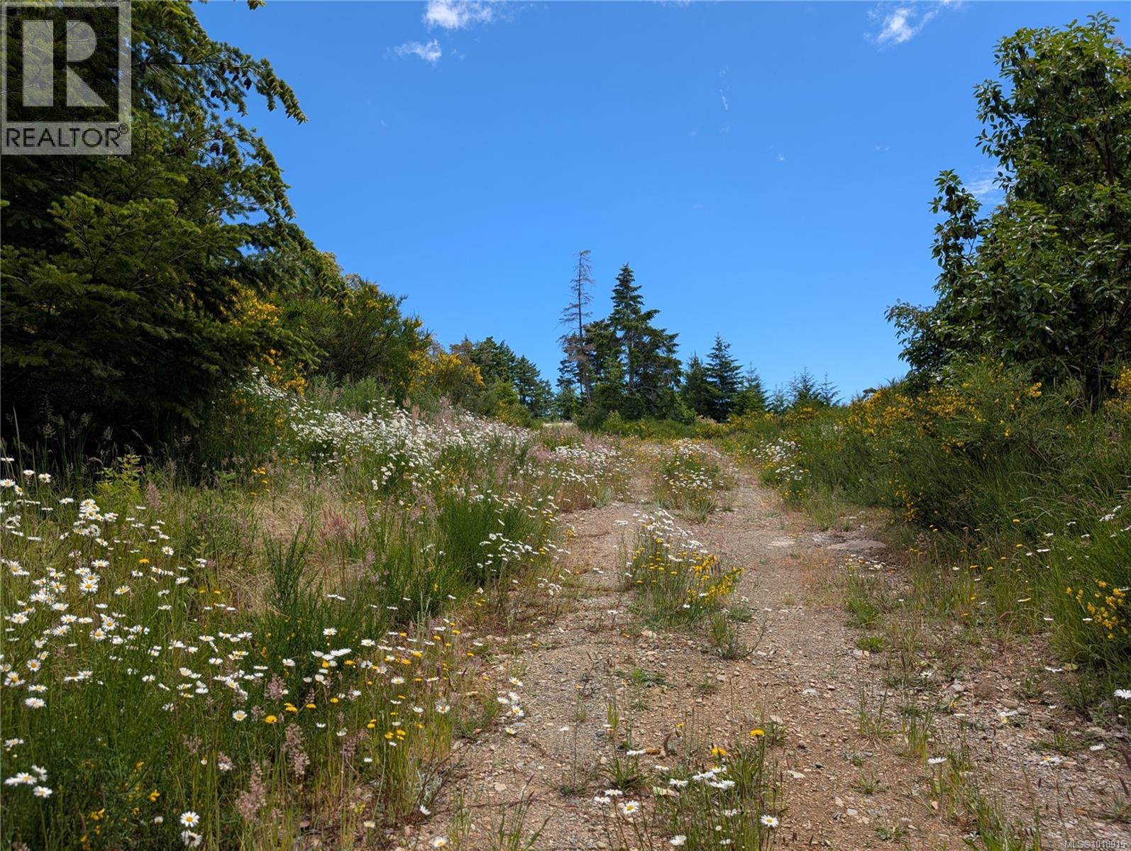 Lot 7 Eagle Vista Rd, Shawnigan Lake, British Columbia  V8H 2J1 - Photo 13 - 1018915