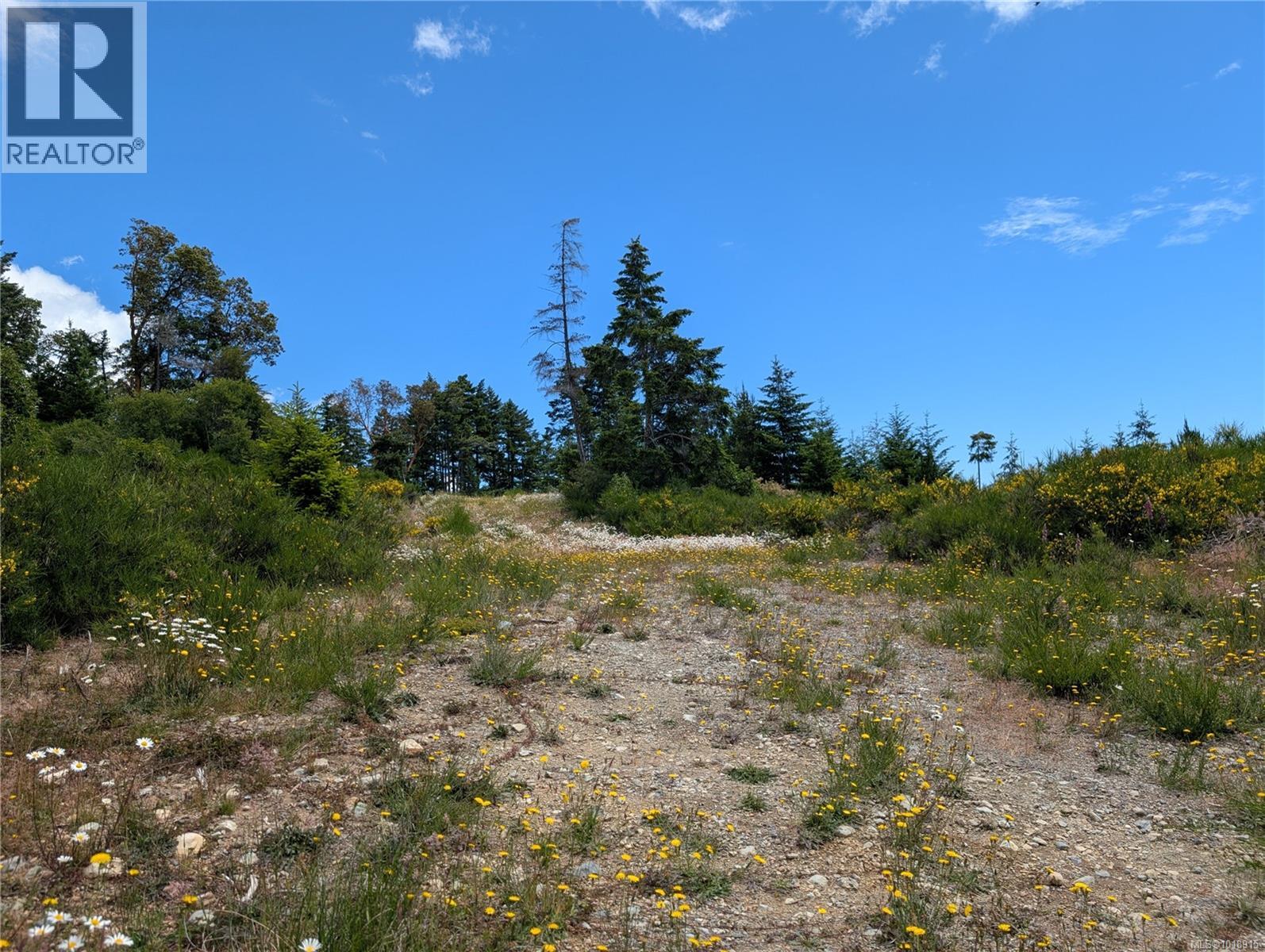 Lot 7 Eagle Vista Rd, Shawnigan Lake, British Columbia  V8H 2J1 - Photo 15 - 1018915